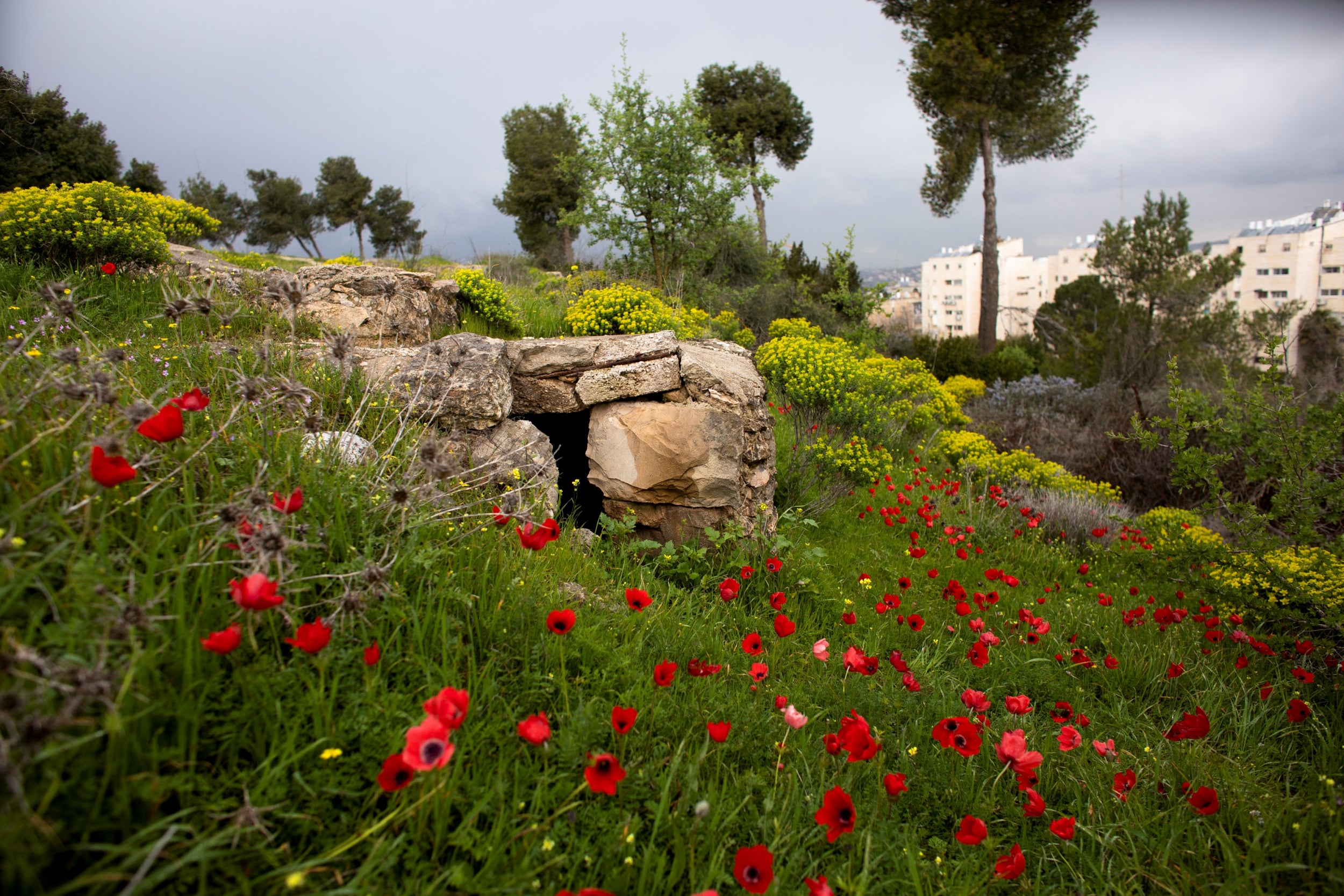 A part of the trench in a former Jordanian military post known as Ammunition Hill in Jerusalem. Originally built by the British, the site was captured by Jordan in the 1948-1949 war and held by them until Israeli troops captured it in the 1967
