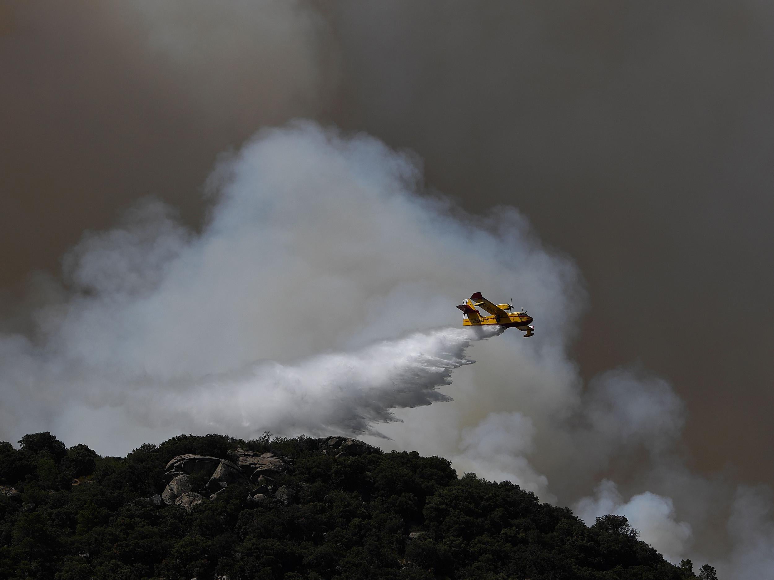 Spain was hit by numerous wildfires as the Europe-wide heatwave continued