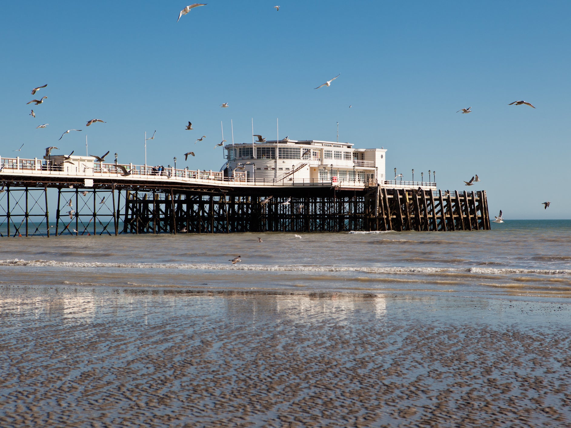 Gulls fly in front of the pier on Worthing beach