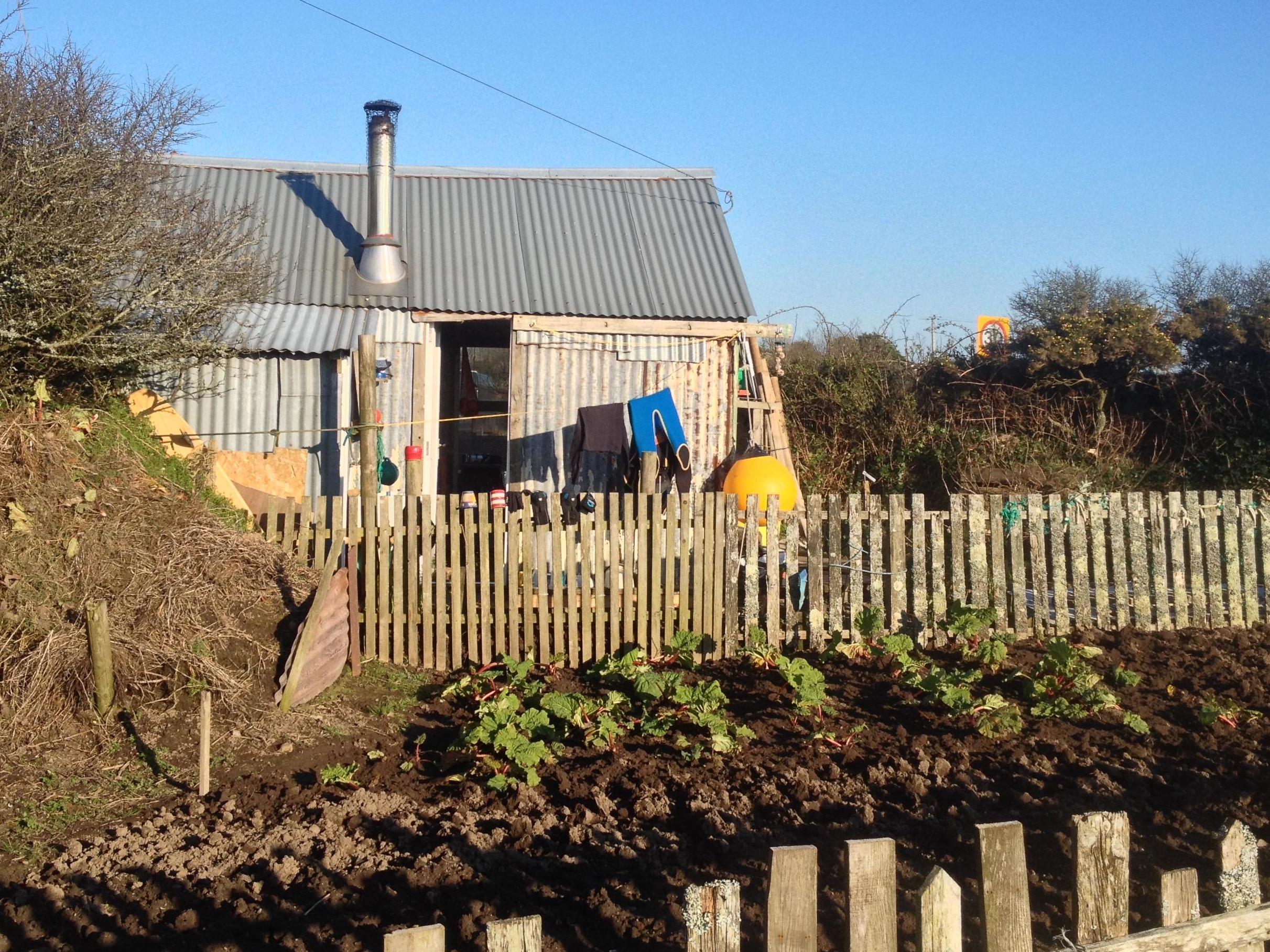 Catrina Davies didn’t end up in a shed simply out of eccentric choice or a strange love of the scent of sawdust, but because it seemed like the least bad choice open to her