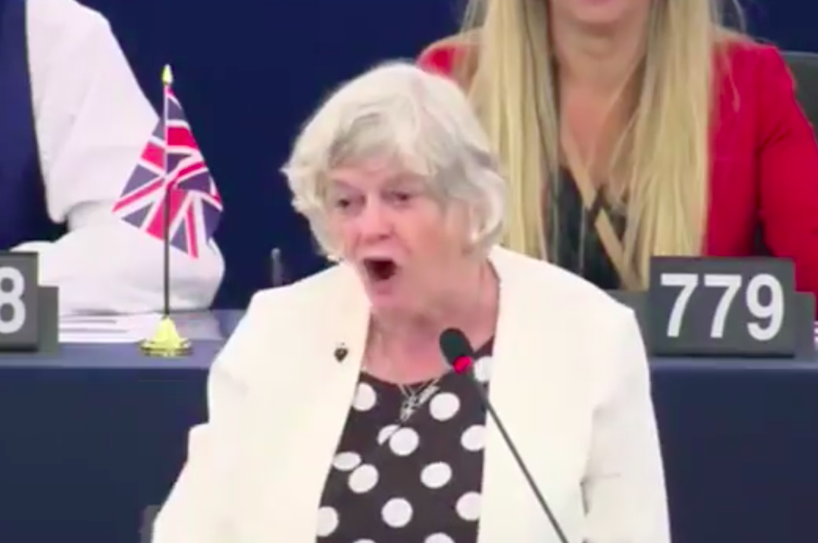 Brexit Party MEP Ann Widdecombe is one of the highest earners