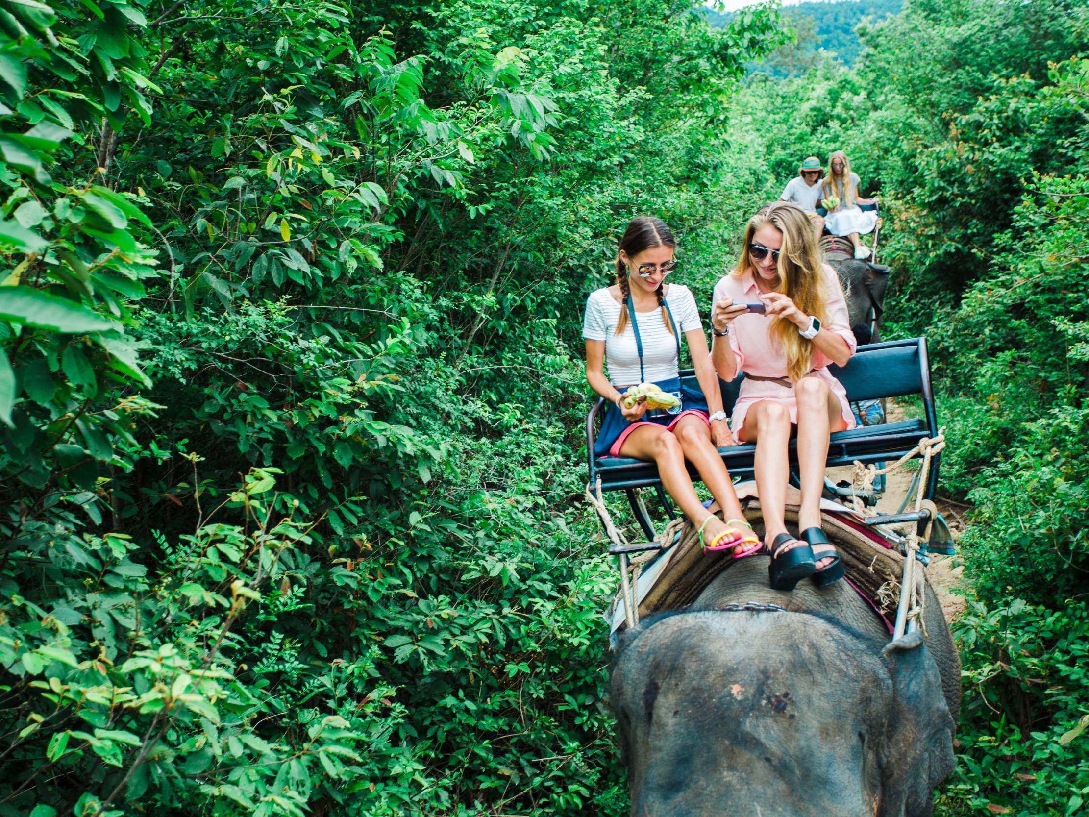 Despite bans imposed by some western travel agencies, elephant riding is still a popular tourist attraction