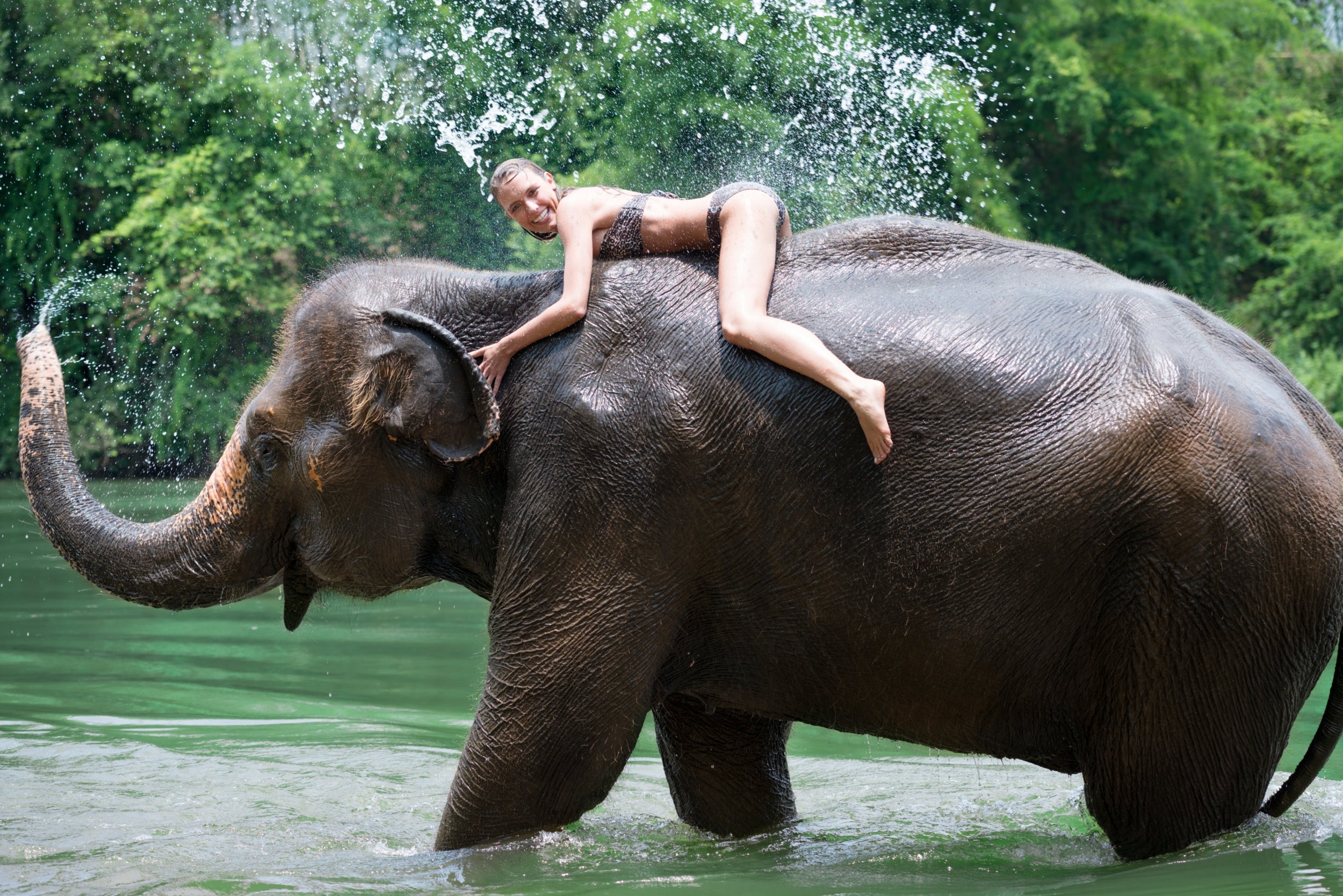 It is recommended that elephants carry one or two people at a time