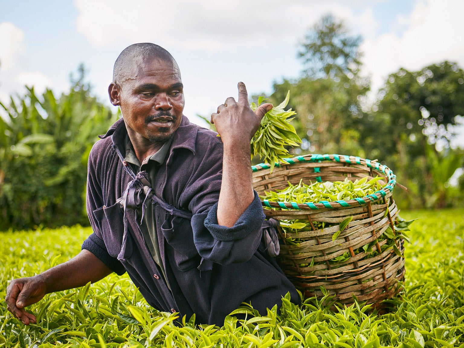 Festus Mugambi Mimuga: ‘I’ve seen a lot of difference from doing this. Our soil has started to get better’