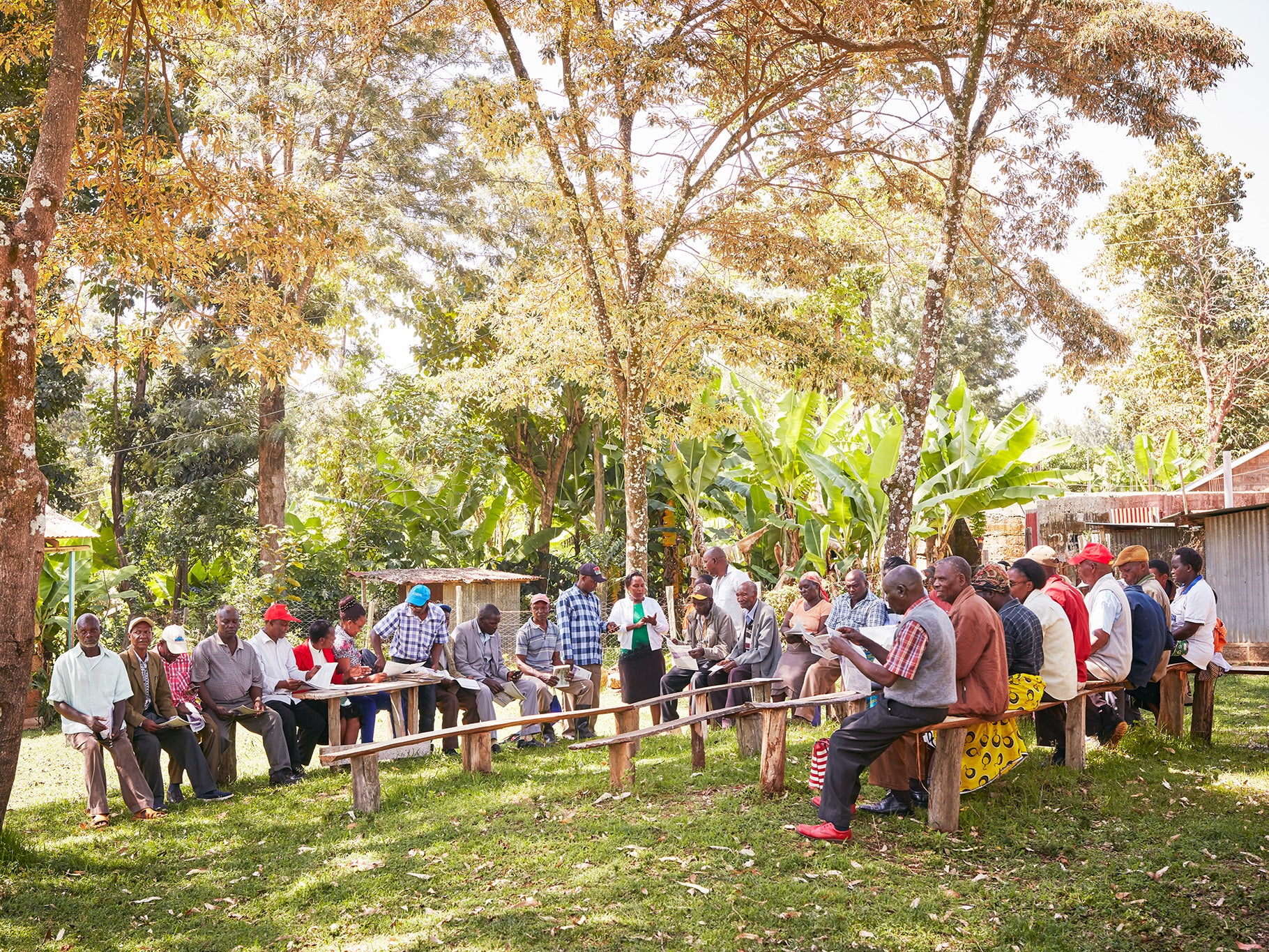 Ukuu cluster: a newsletter with the latest cultivation advice in English and Kimeru (the language spoken in Meru) is distributed to farmers at the monthly meeting