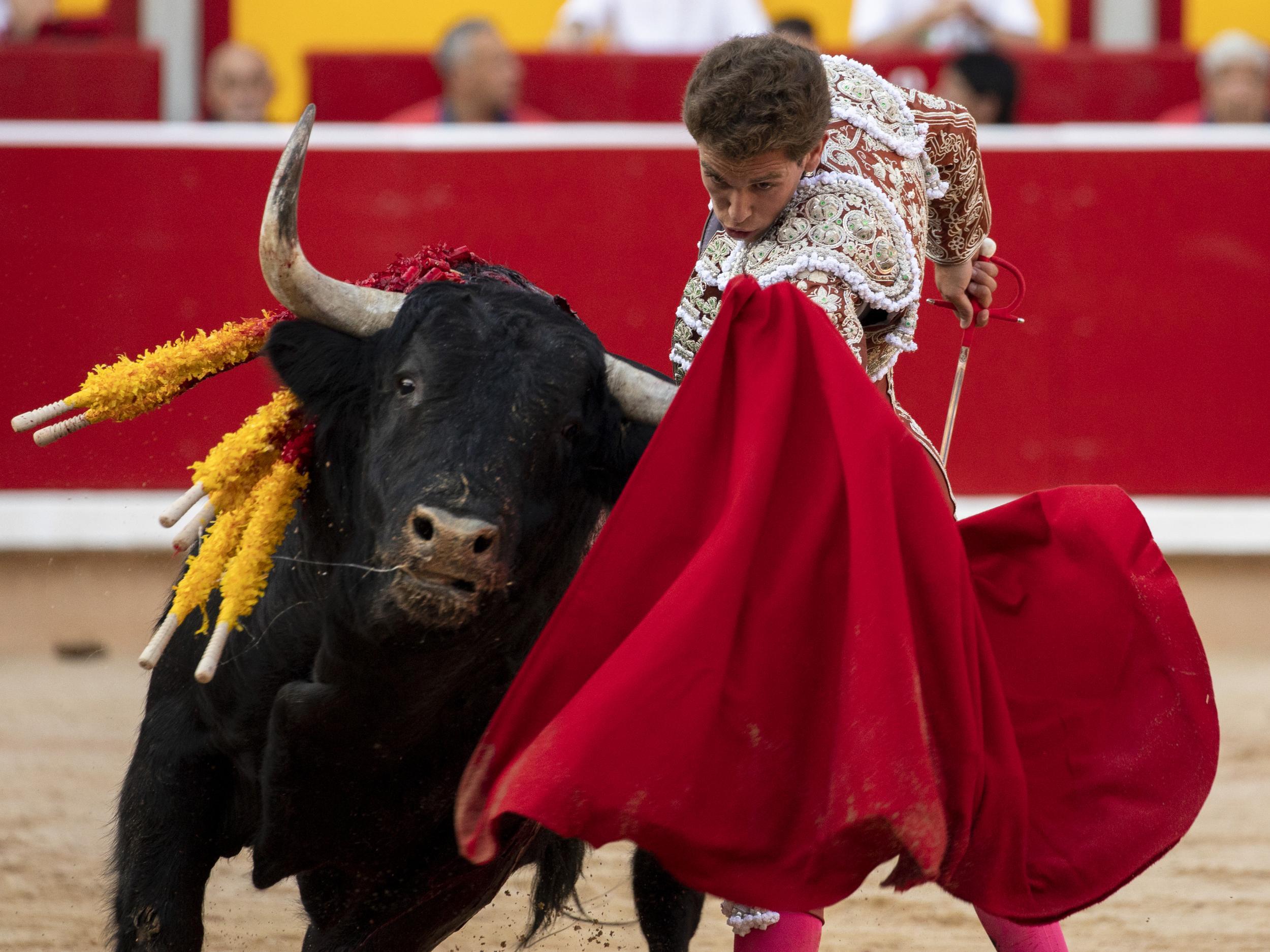 Spanish bullfighter Gines Marin 'performs’ with a bull on the second day of the festival (Getty)