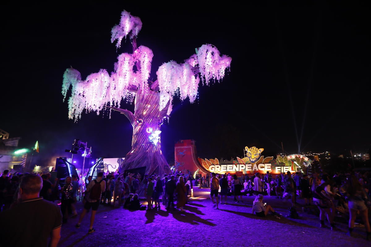 One of the trees in the Greenpeace Field at Glastonbury 2019