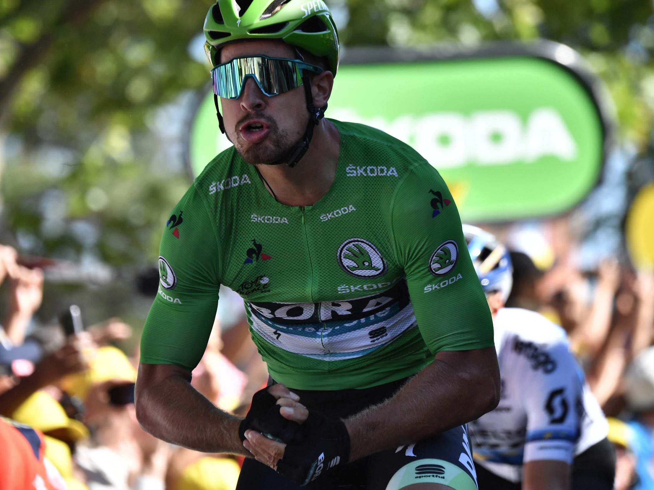 Peter Sagan celebrates his triumph on the finish line