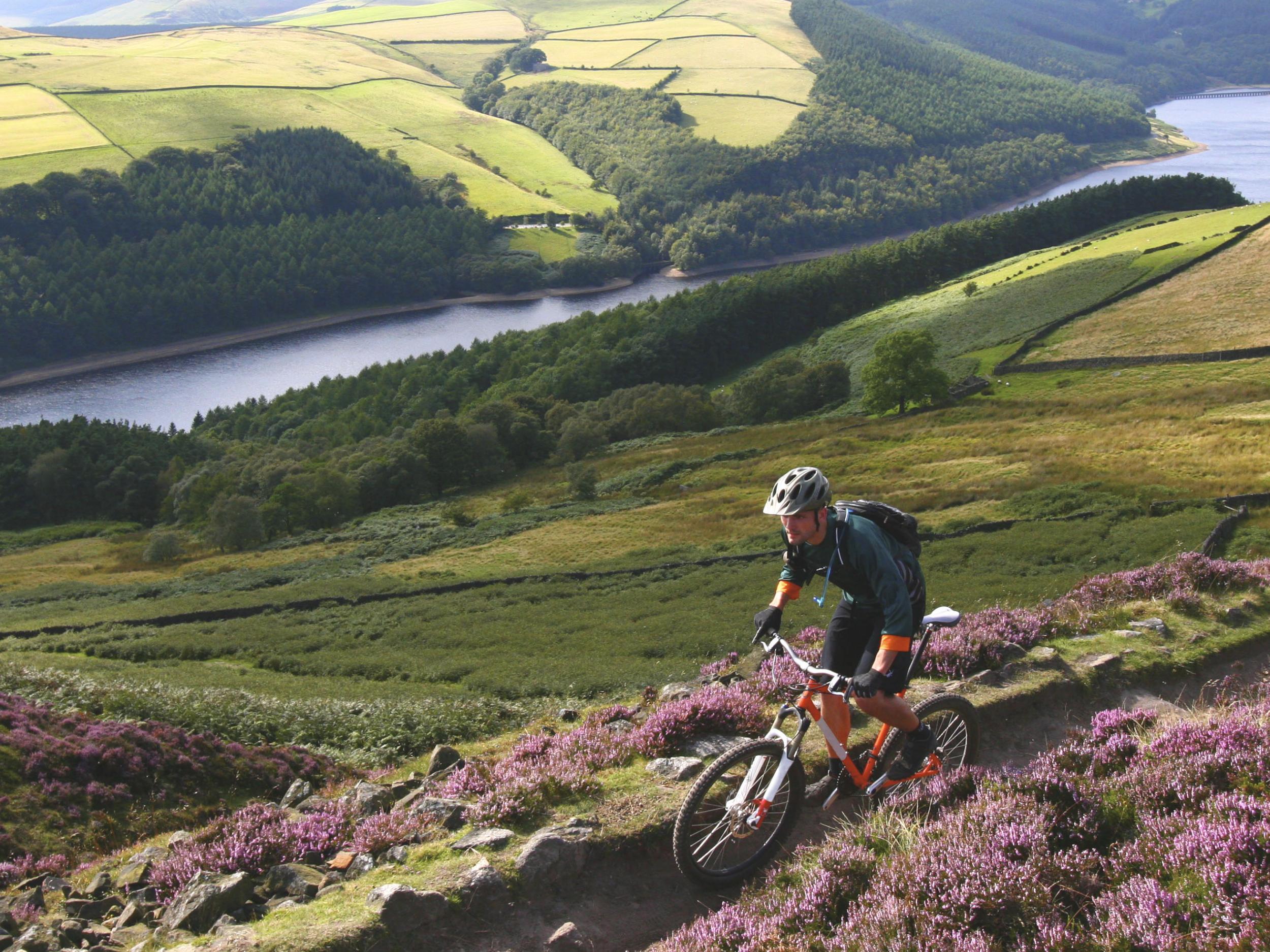 Police have said they are aware of reports of alleged trail sabotage in the Peak District and take such reports 'very seriously'