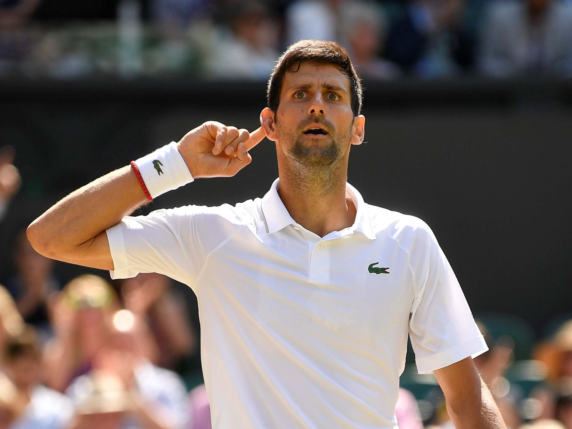 Djokovic responds to the crowd in typical fashion