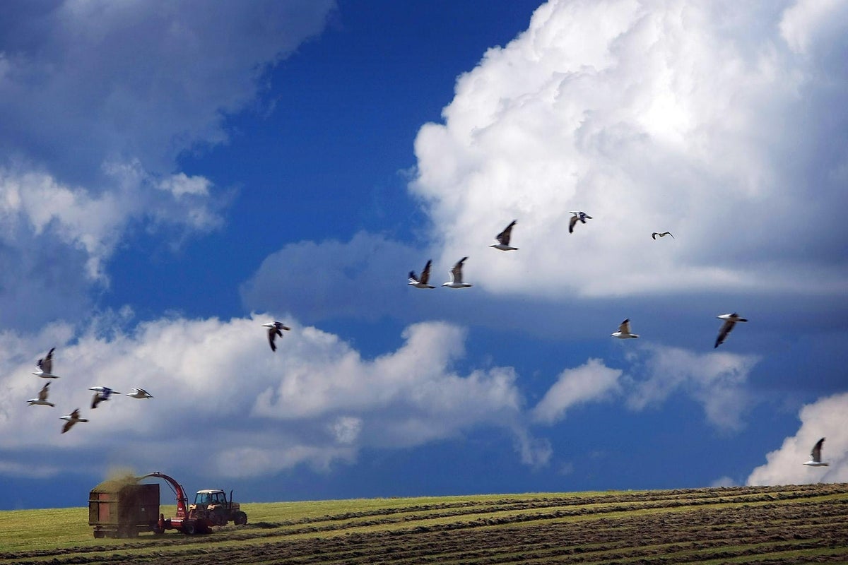 Bugün öğrendim ki: Marconi Union'ın...