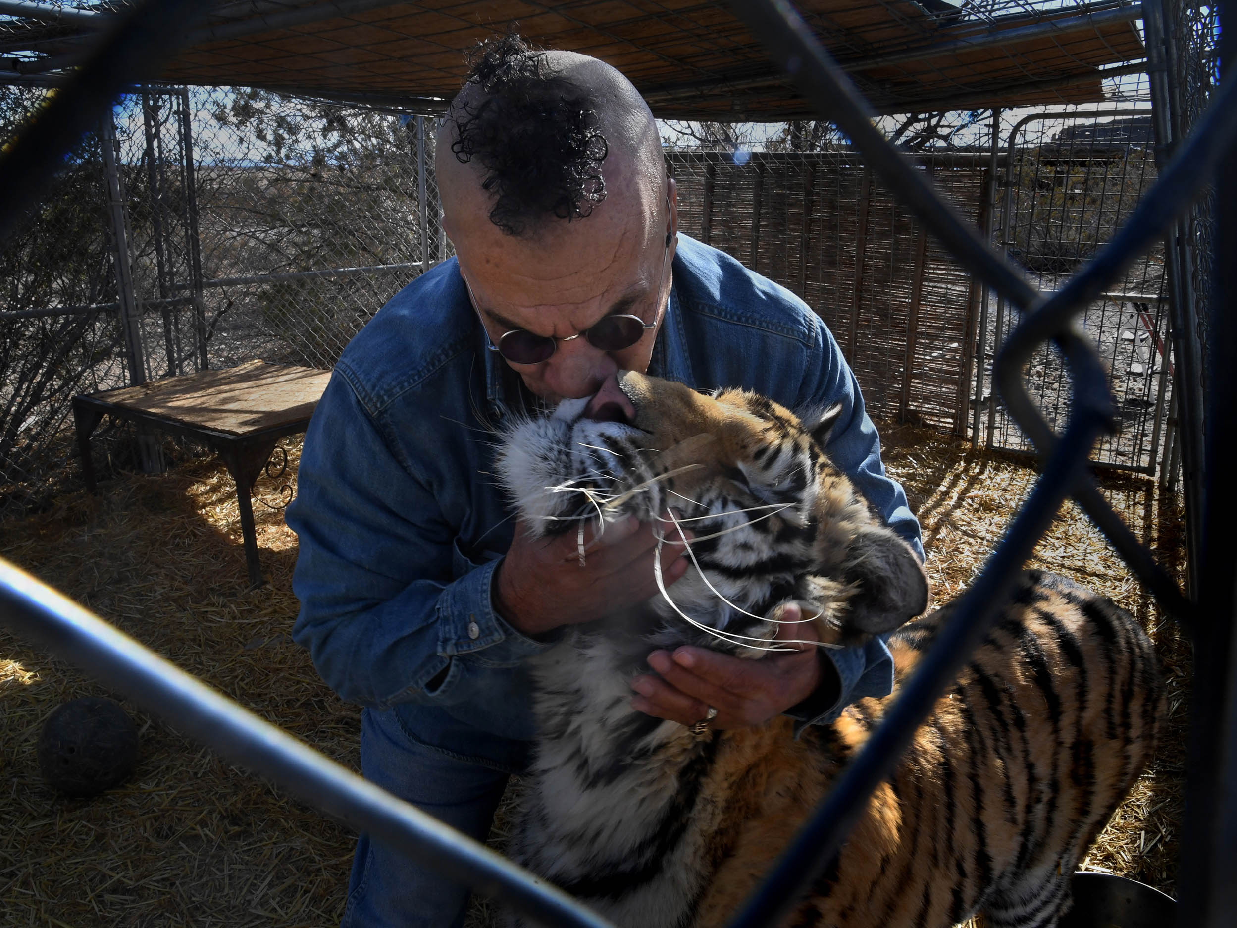 Karl Mitchell regained his local permit after arguing that his big cats were ‘emotional support tigers’ (Michael S Williamson for The Washington Post)