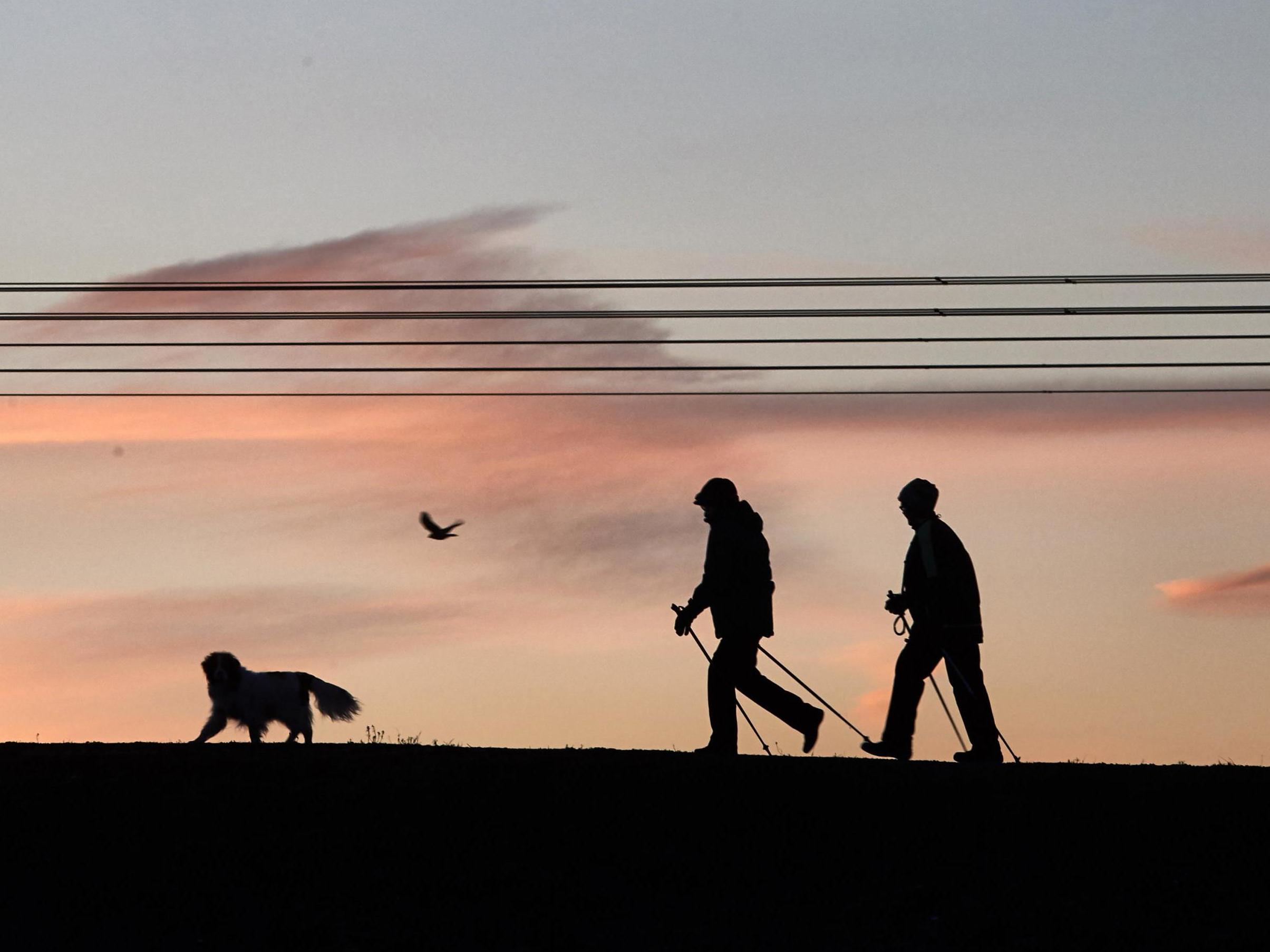 Most dog walkers believe walking their pet is a vital de-stressing tool