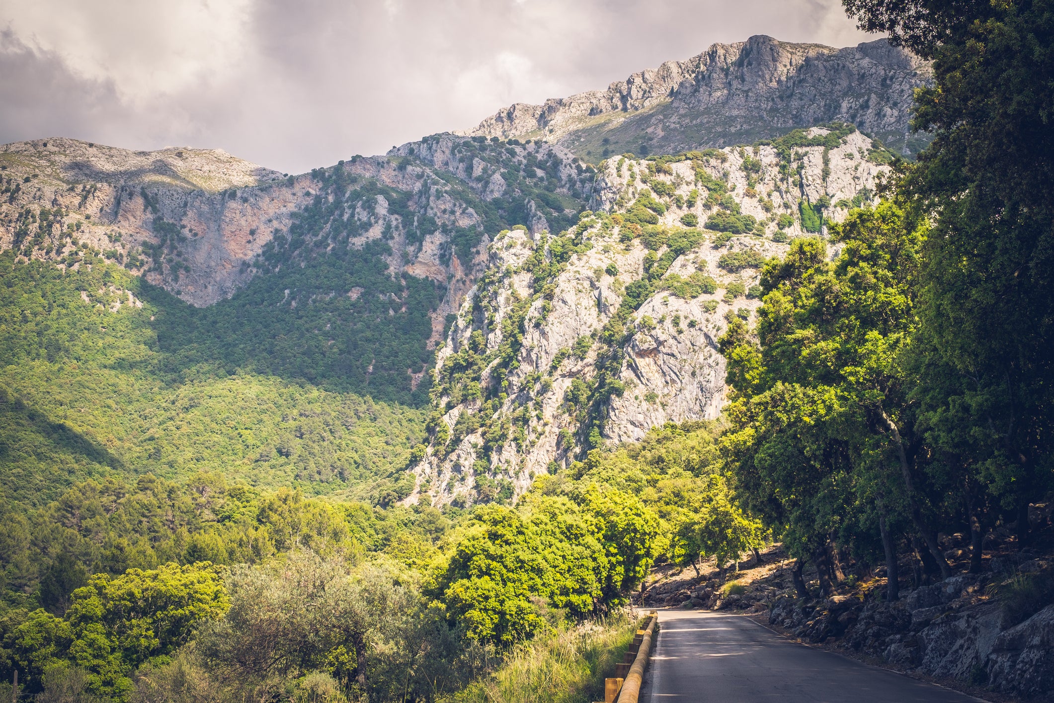 The green hills of the Serra de Tramuntana are perfect for exploring on two wheels (Getty/iStockphoto)