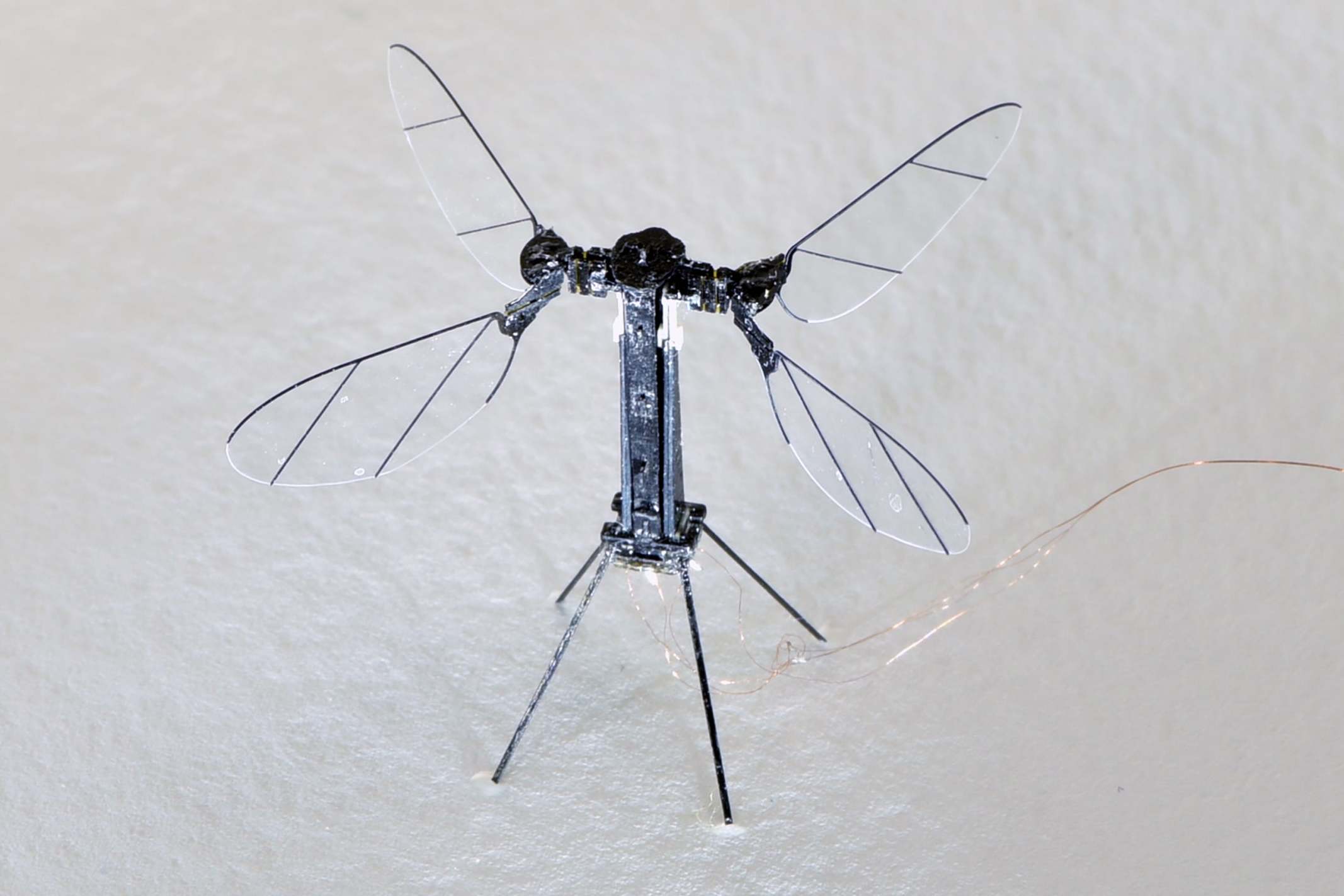 Flight of the RoboBee: the solar-powered device flits around on tiny wings