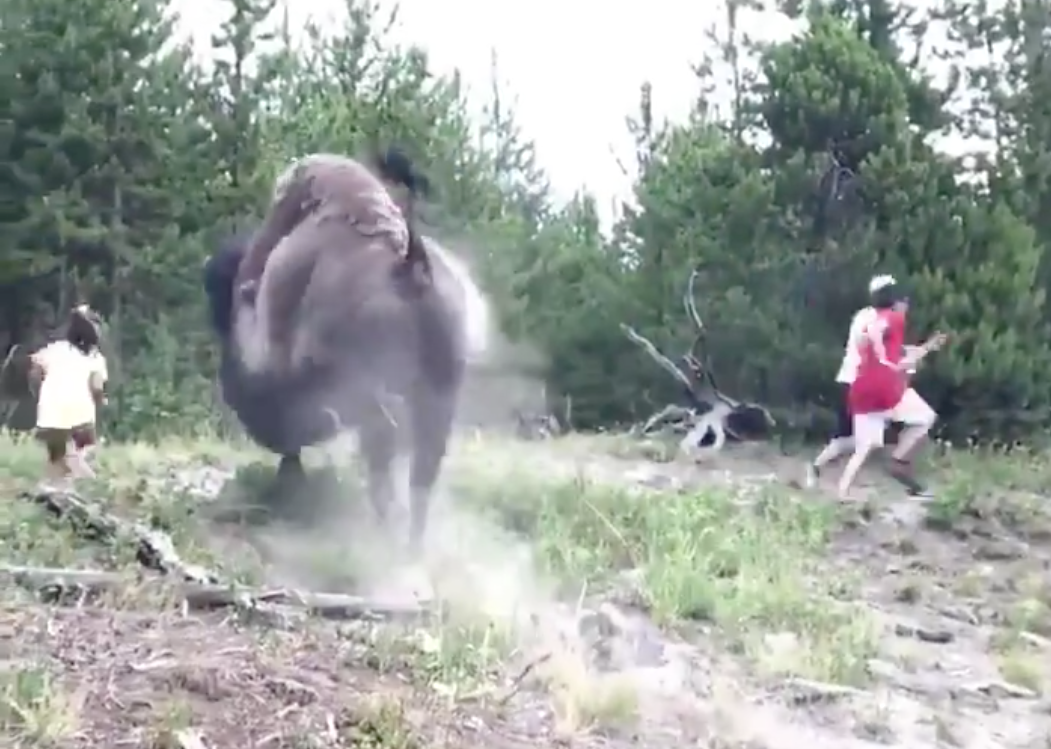 Two people, allegedly the girl's parents, flee from the bull as it charges, leaving the little girl in its path