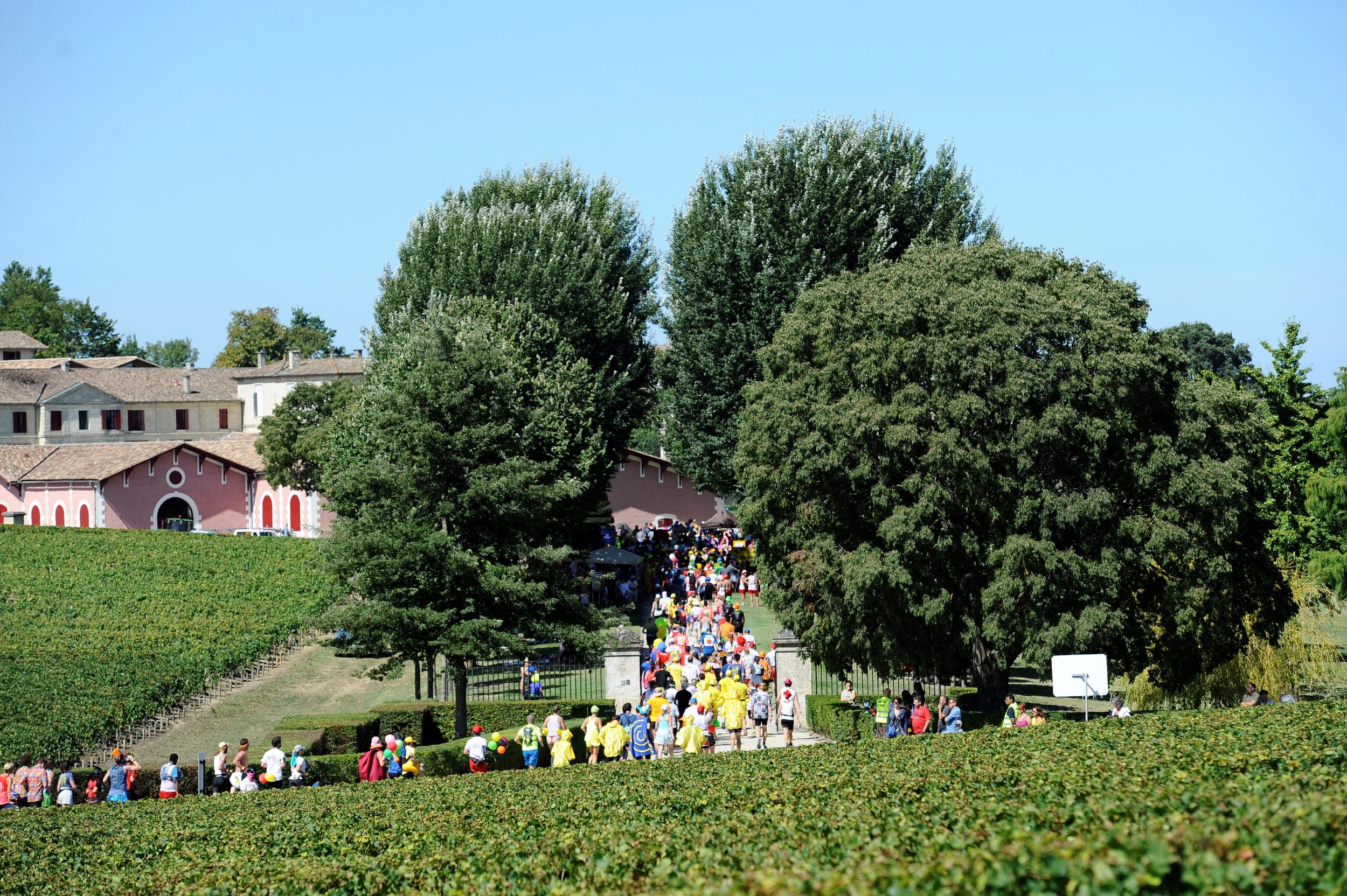 Mix running and wine tasting at the Marathon du Medoc