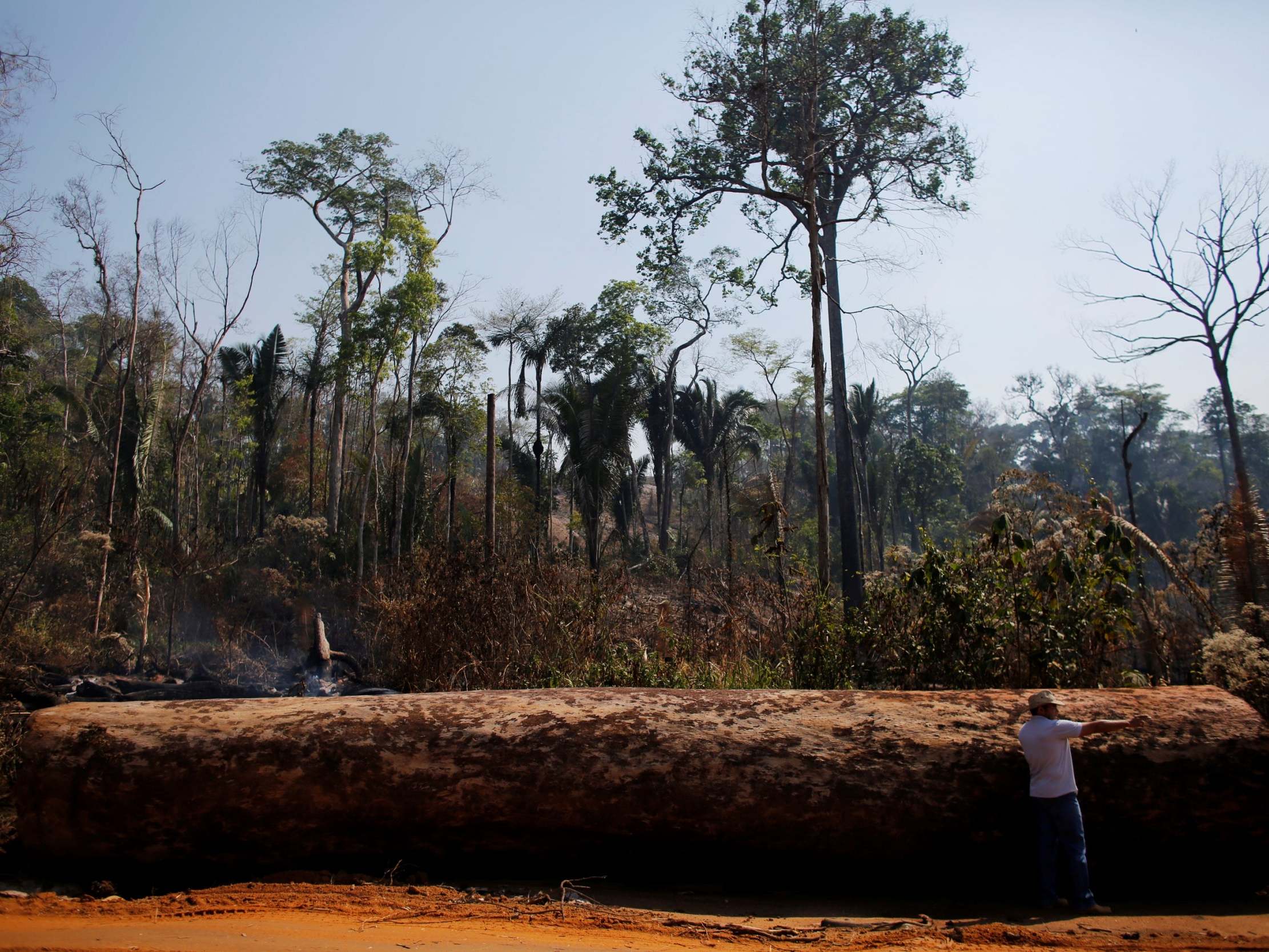 Since Brazil's Jair Bolsonaro took office, illegal logging and mining have led to hugely increased deforestation