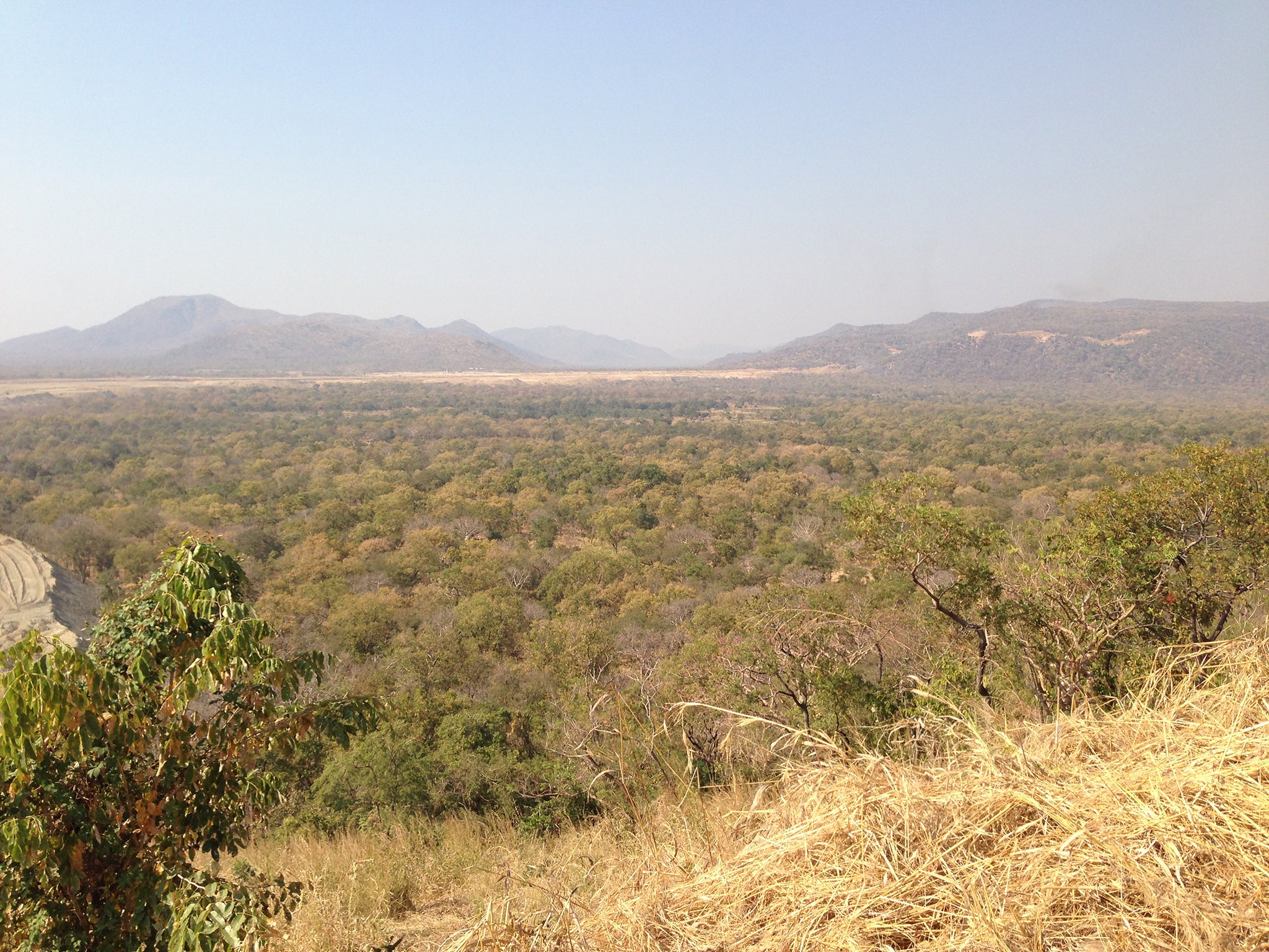 Less than 4 per cent of Ethiopia's land is now forested, a sharp decline from around 30 per cent at the end of the 19th century, according to Farm Africa