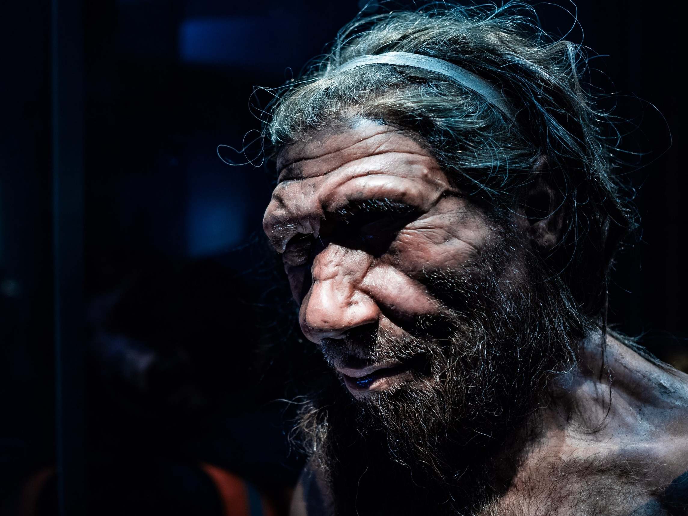 Neanderthal blood or DNA lives on in us