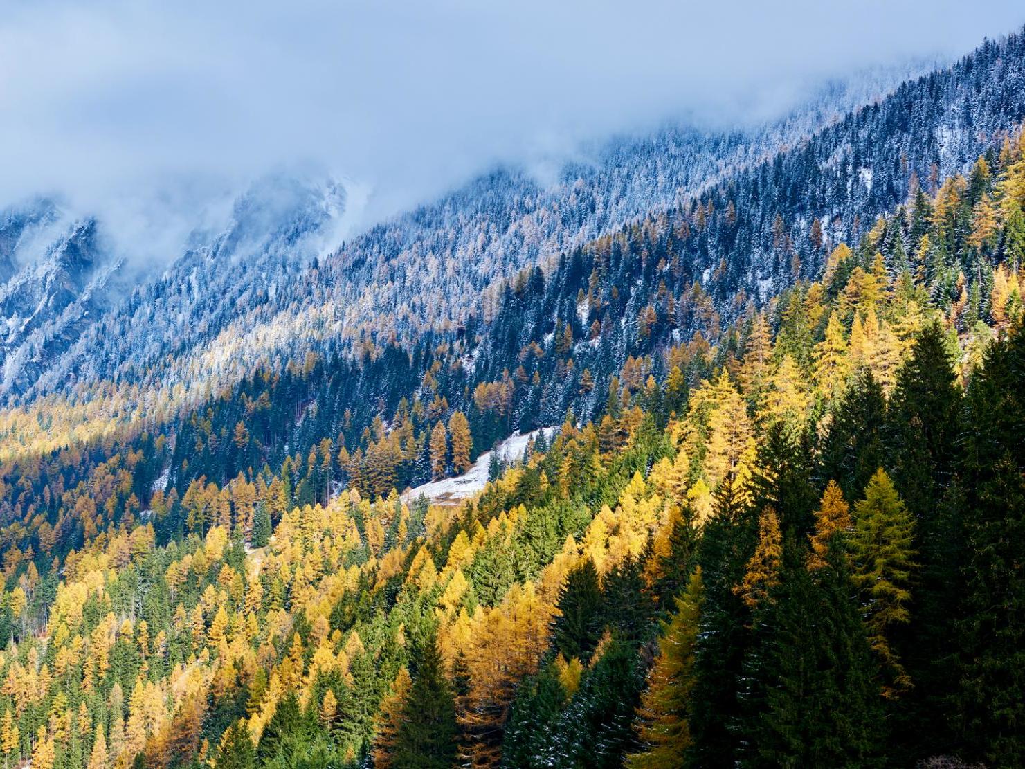 The accident occurred on a walking path of the Gommer mountain trail which is popular with hikers in the Swiss Alps