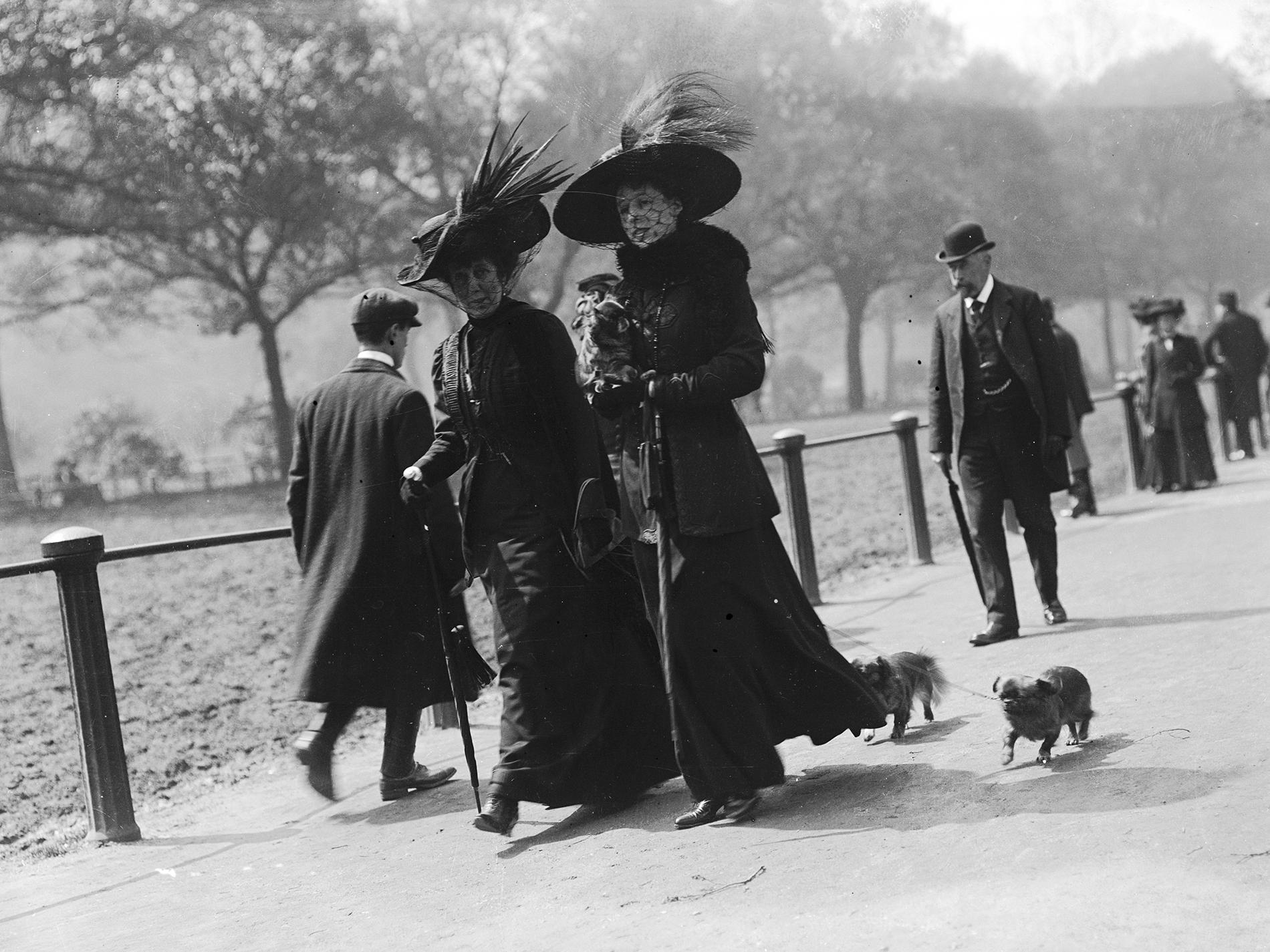 A campaign against plumage in hats may seem obscure today but the demand for both local and exotic feathers was huge in the late 19th and early 20th century