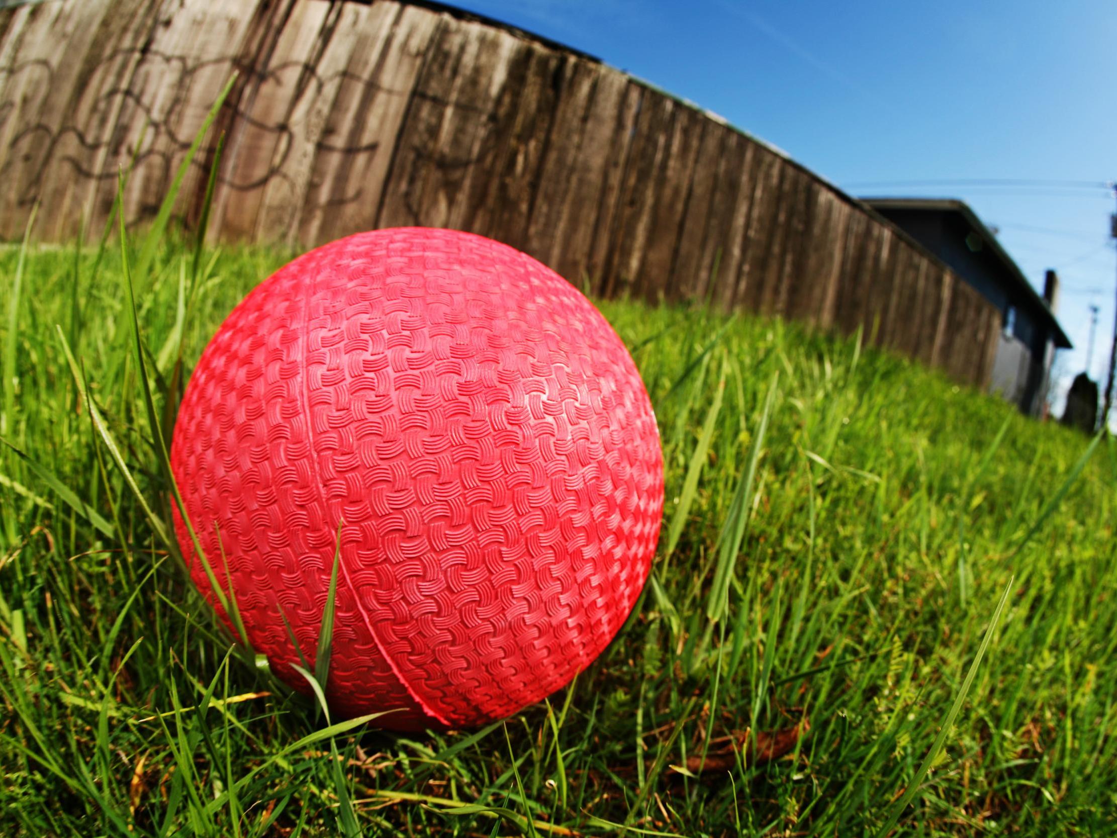 The students were playing 'tips' in which they jumped to catch a rubber ball that had been thrown in the air