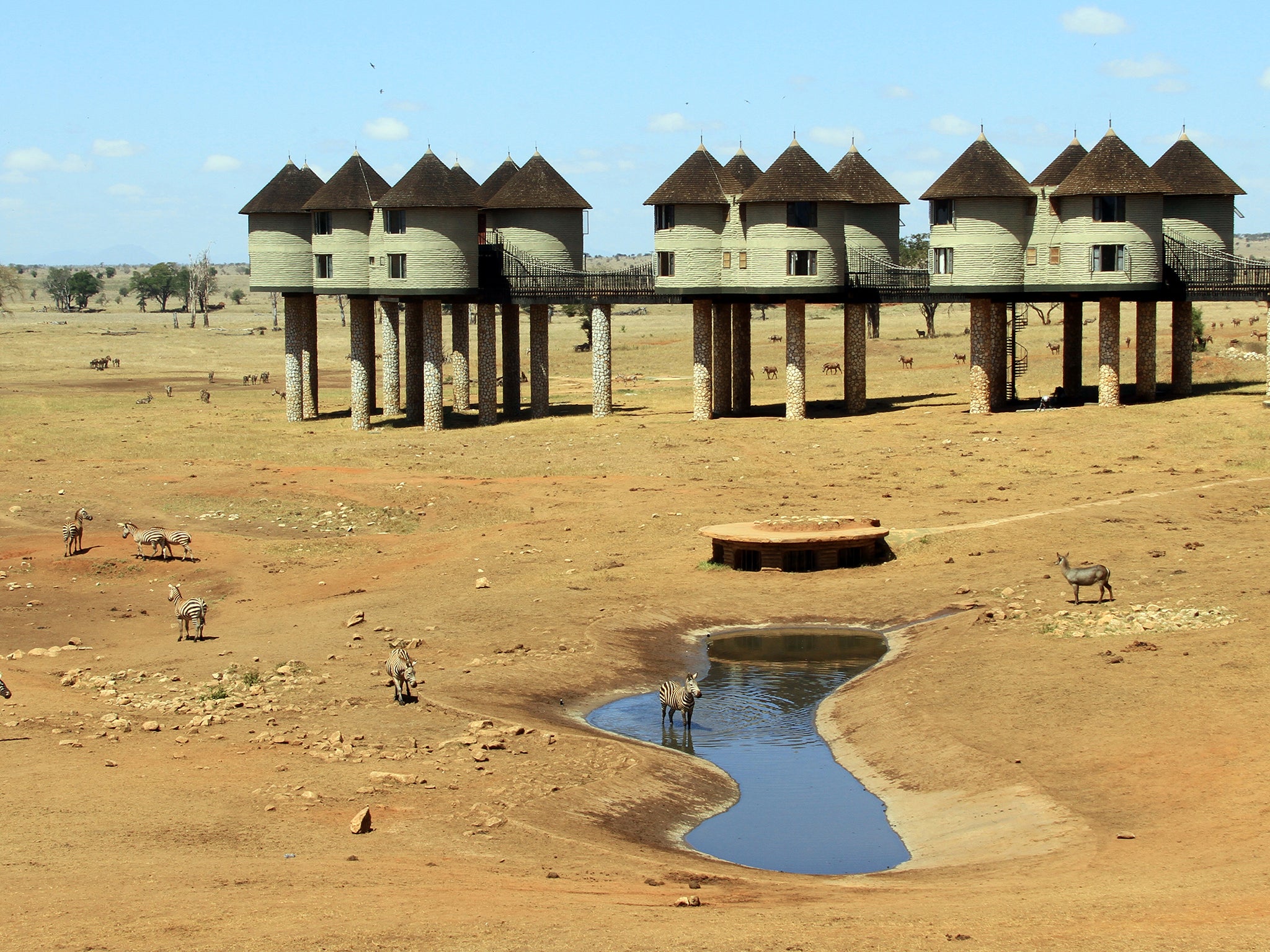 The lodge provides the perfect view over the nearby waterhole