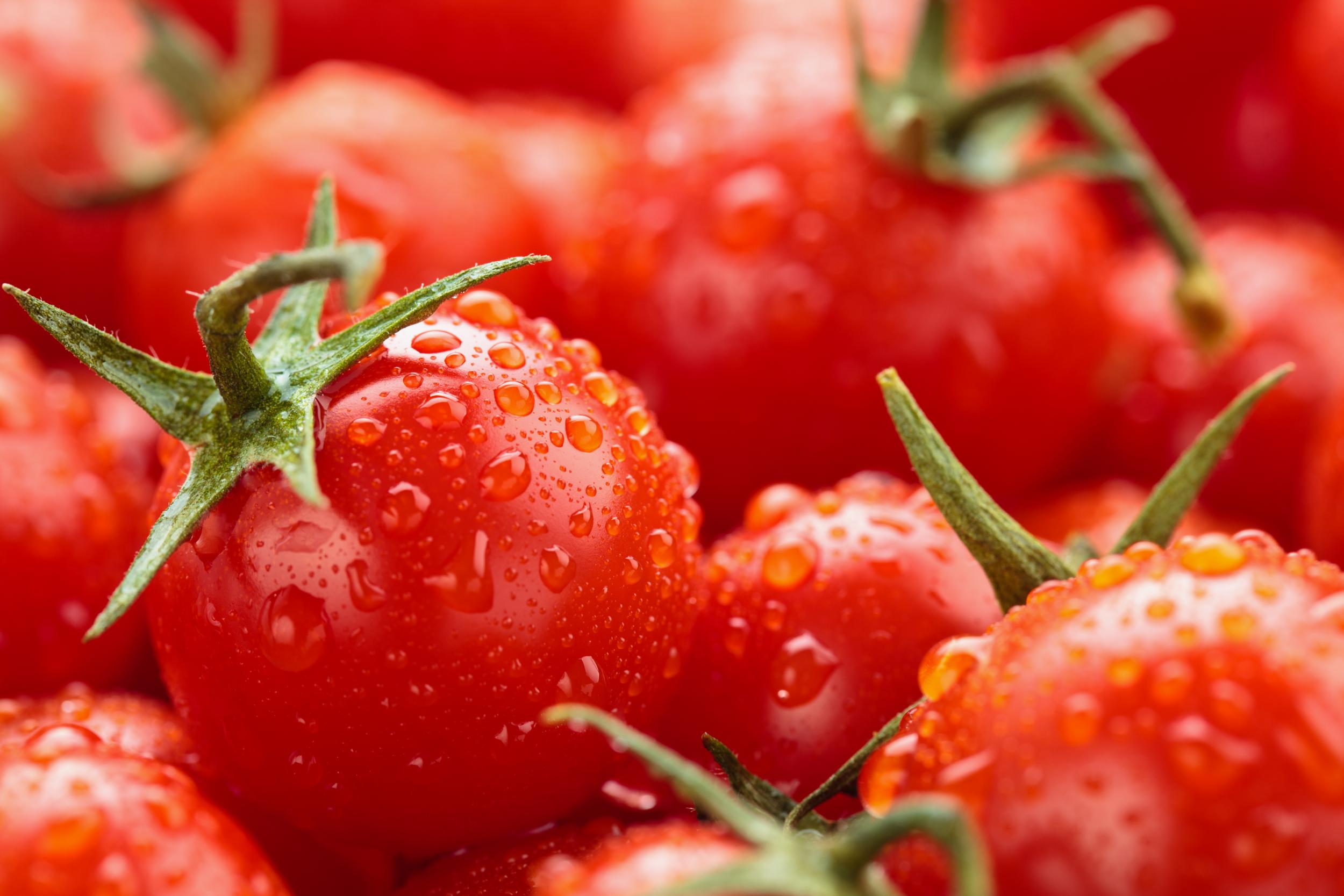 Eating tomatoes could improve sperm quality by up to 50 per cent