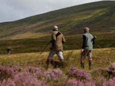 Grouse shooting estate owners handed ‘at least £10m’ of EU taxpayer money last year