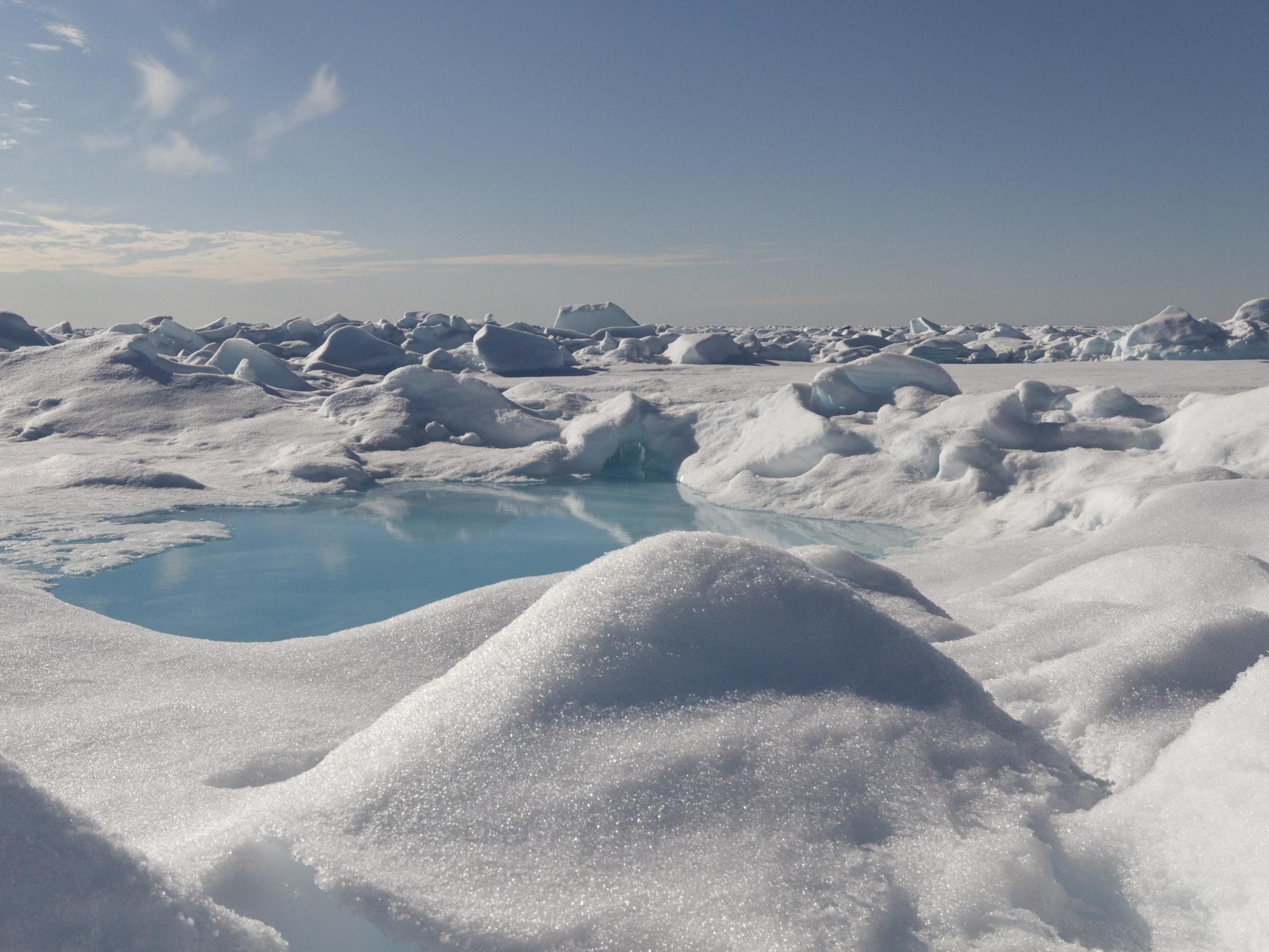 The team examined sea ice in the Arctic