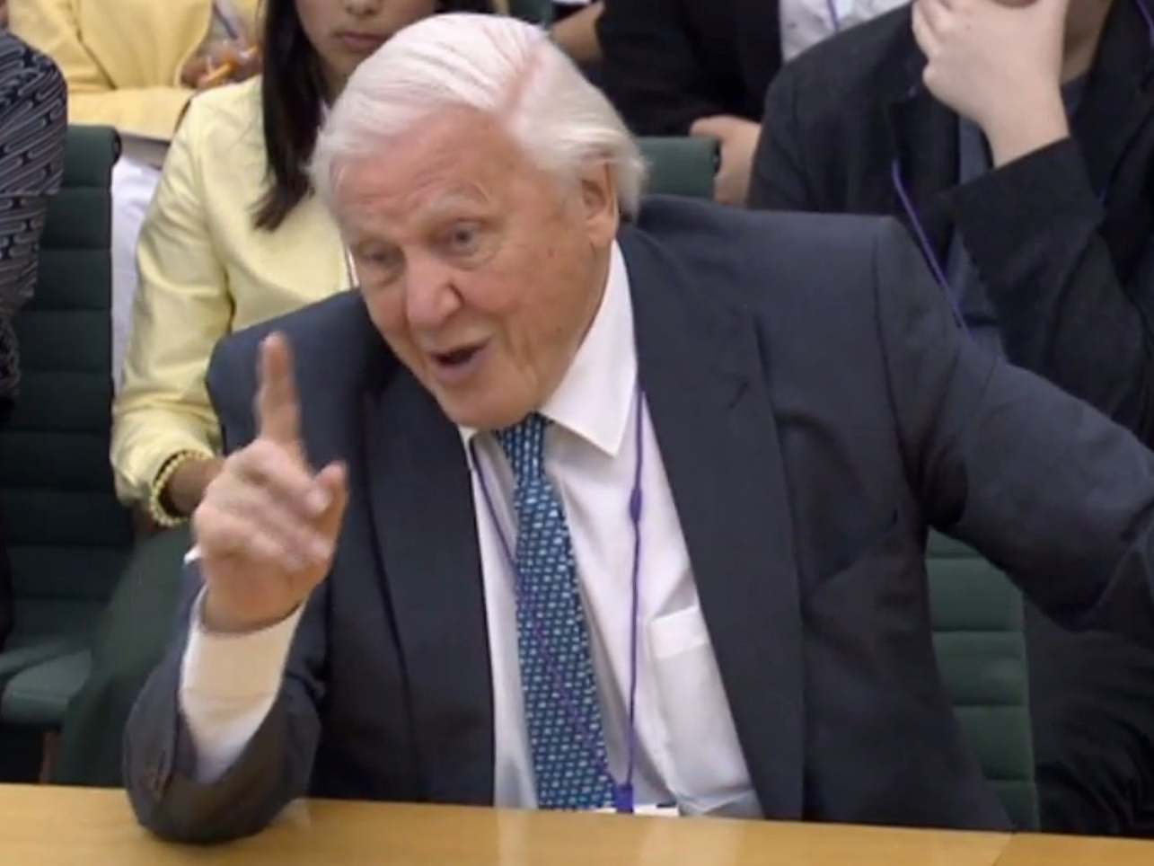 David Attenborough warned parliament about the climate emergency in July