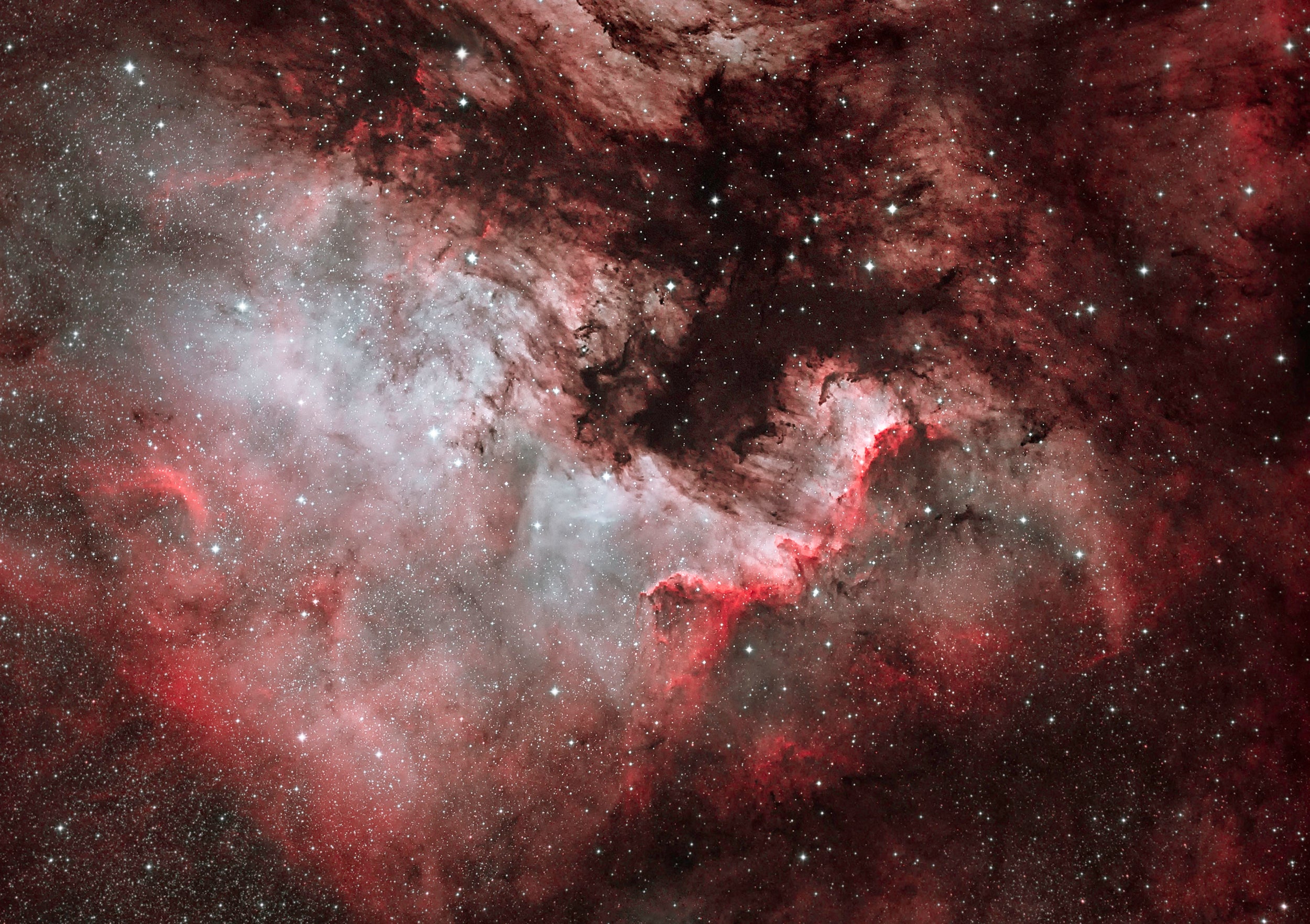 The North America Nebula, NGC7000, is an emission nebula in the constellation Cygnus, close to Deneb. The remarkable shape of the nebula resembles that of the continent of North America, complete with a prominent Gulf of Mexico. The Cygnus Wall, a term for the "Mexico and Central America part" of the North America Nebula, exhibits the most concentrated star formations in the nebula. - Dave Watson