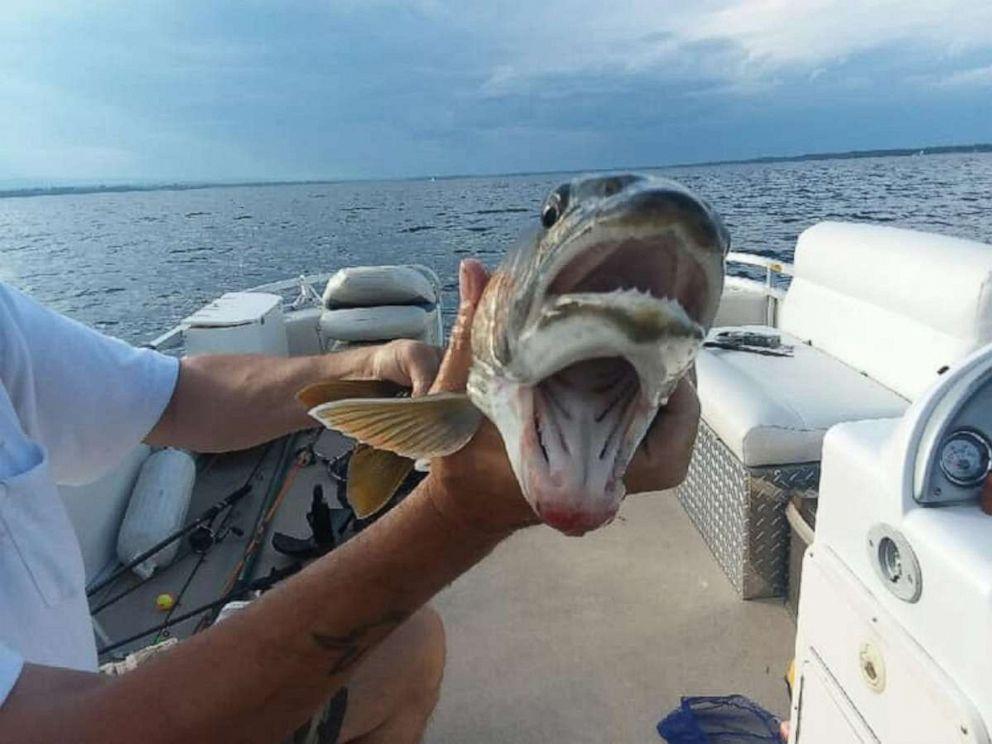 Debbie Geddes caught a fish apparently with two mouths