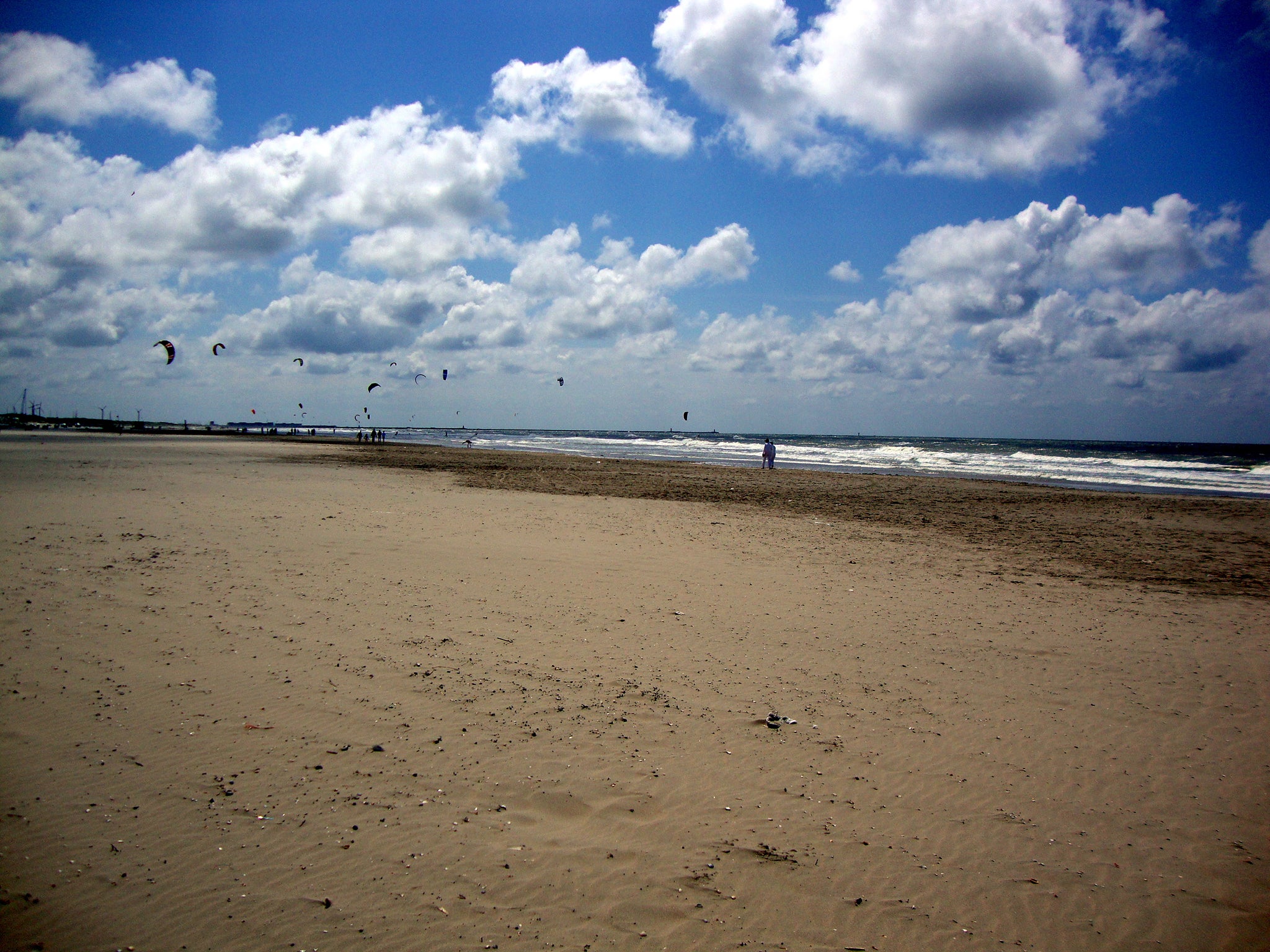 Roe has been granted permission to use a stretch of beach at Wijk aan Zee village as the venue