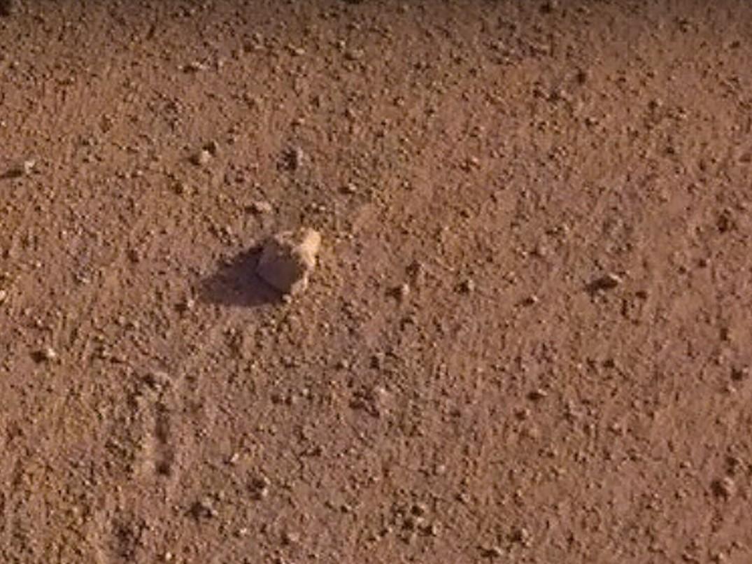 Nasa discovered that a rock about the size of a golf ball had moved 1 metre when a spacecraft touched down on Mars on 26 November, 2018