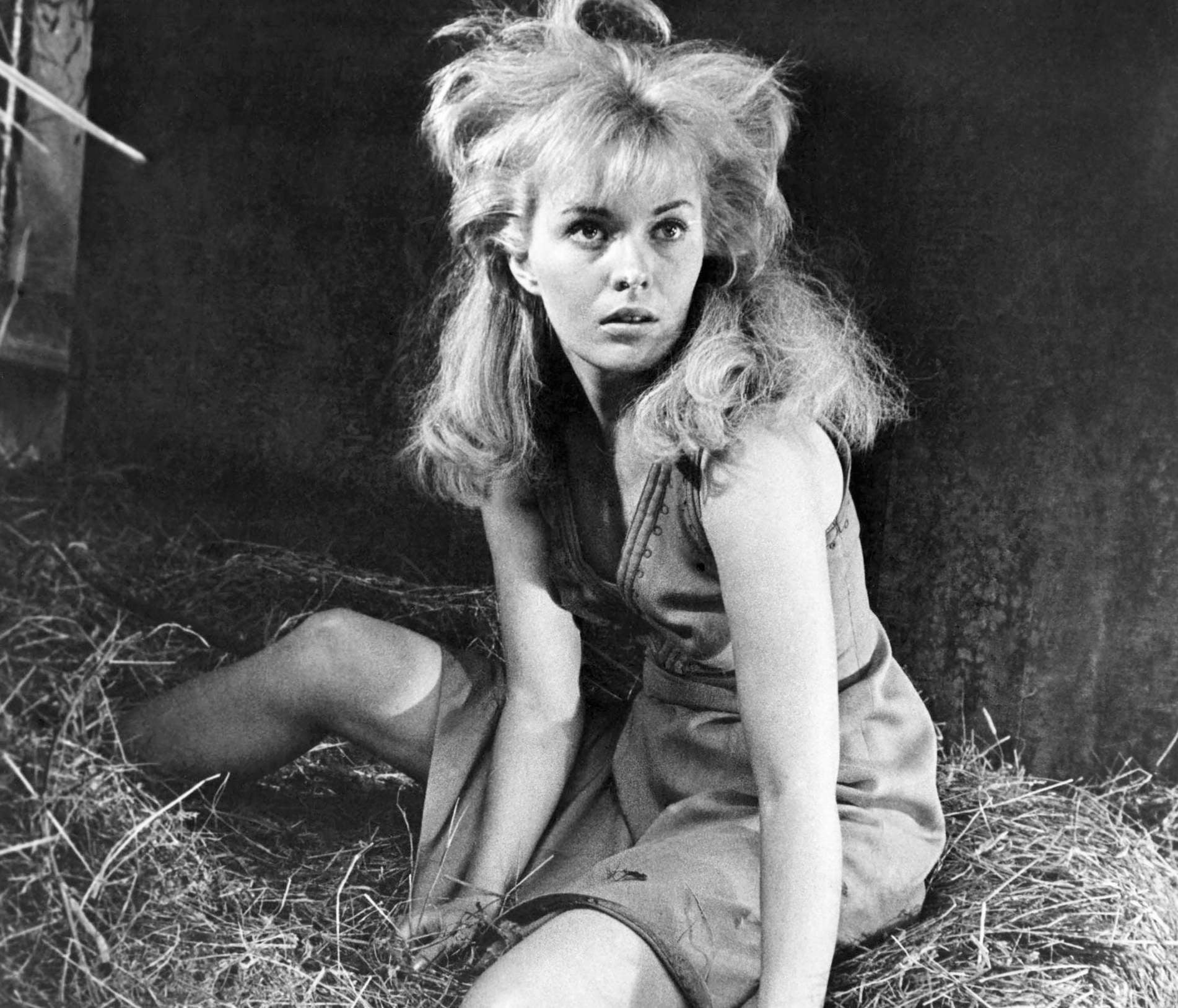 Seberg as the beautiful schizophrenic who starred opposite Warren Beatty and Peter Fonda in ‘Lillith’ (1964) (Glasshouse/Rex)