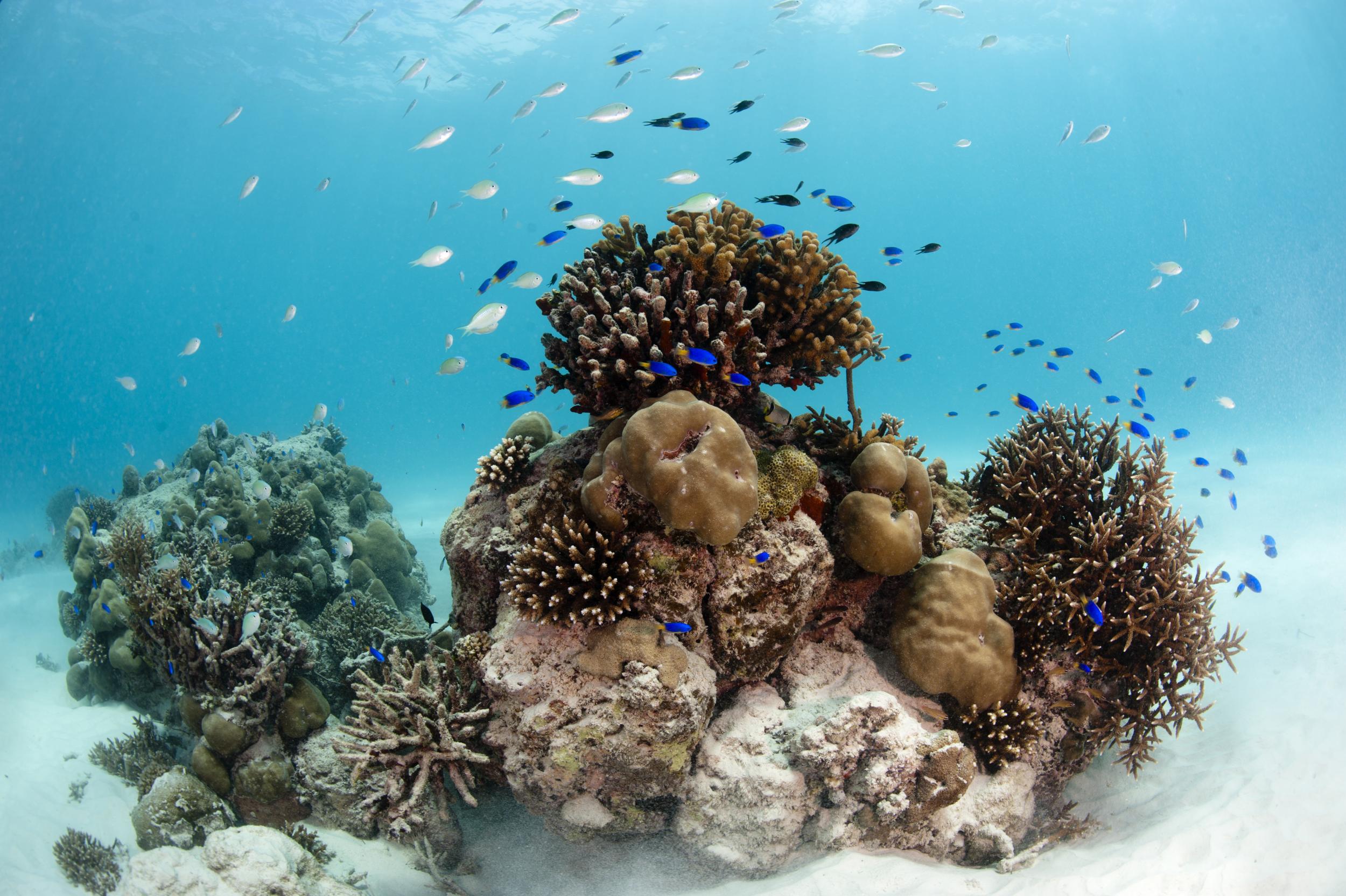 The Seychelles in shoulder season is still exquisite