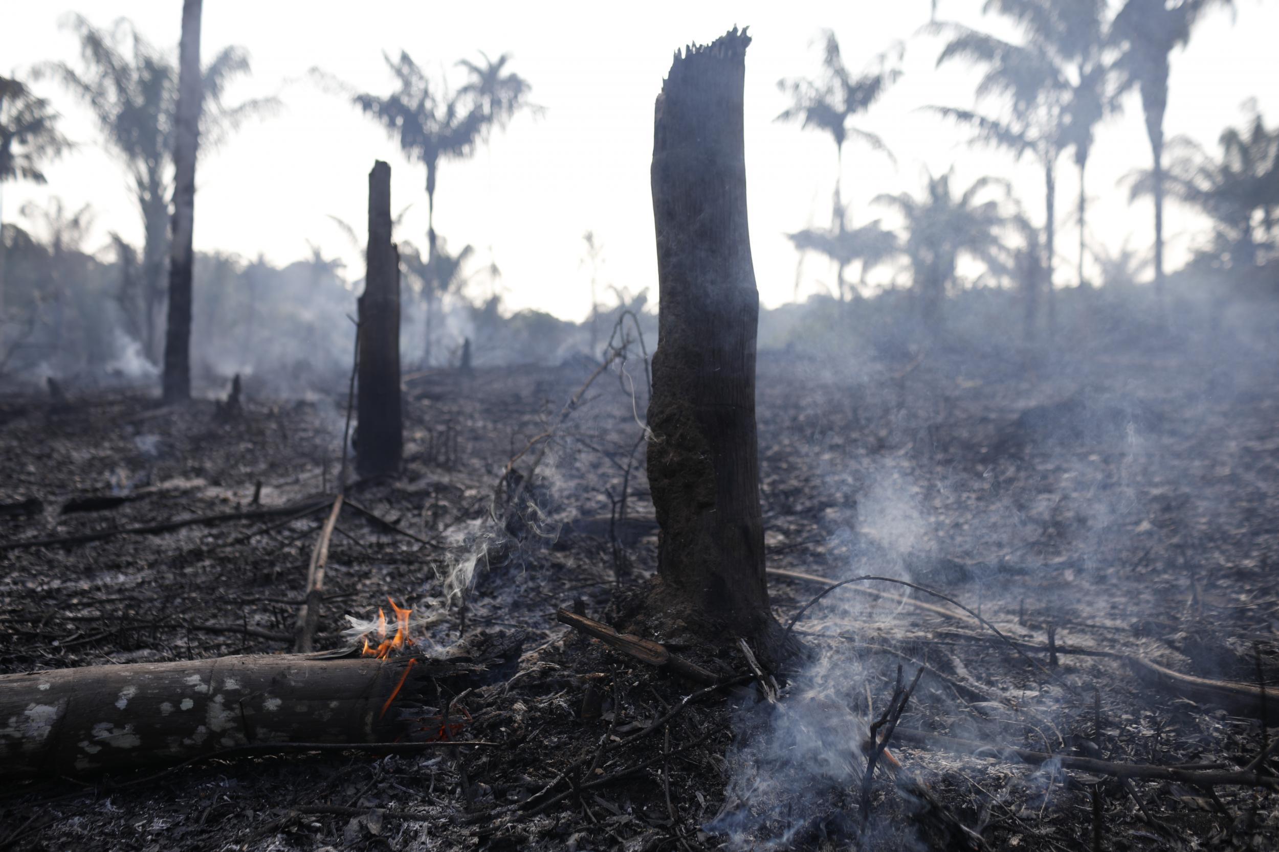 Number of fires in Brazil this year has increased 76 per cent compared to the same period last year (Bruno Kelly/ The Independent)