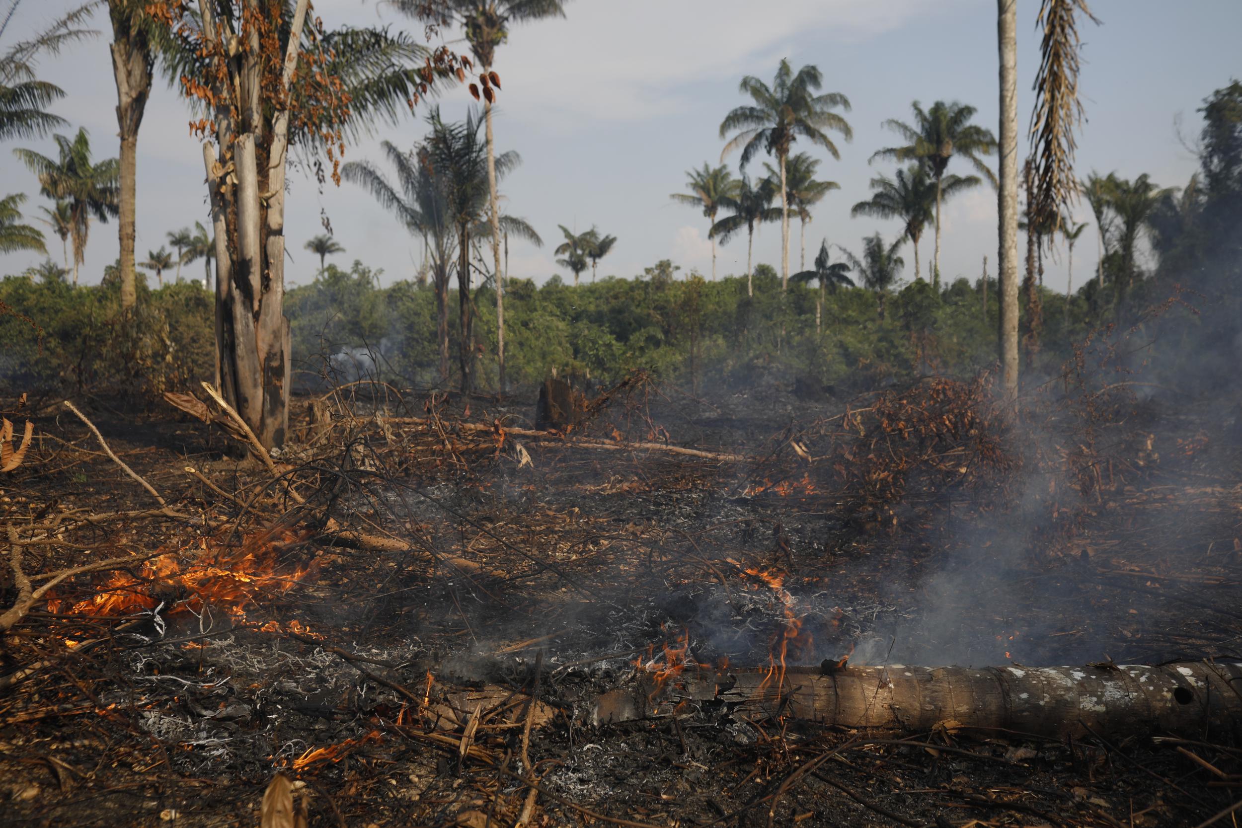 Brazil's government has put the blame of this years’ figures on high temperatures, but 2019 has been relatively mild say experts