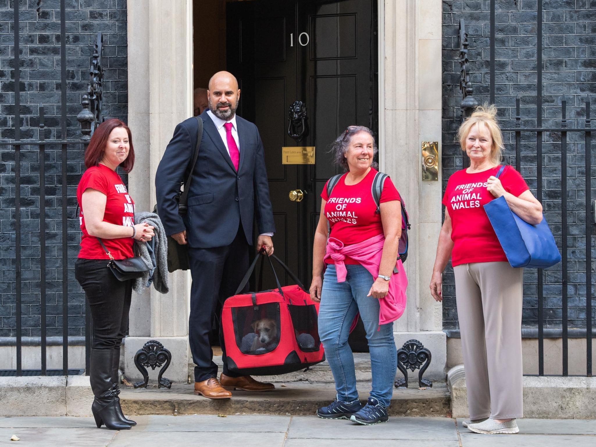 The Jack Russell was taken to Downing Street by Friends of Animals Wales (FOAW) and TV vet Marc Abraham (PA)