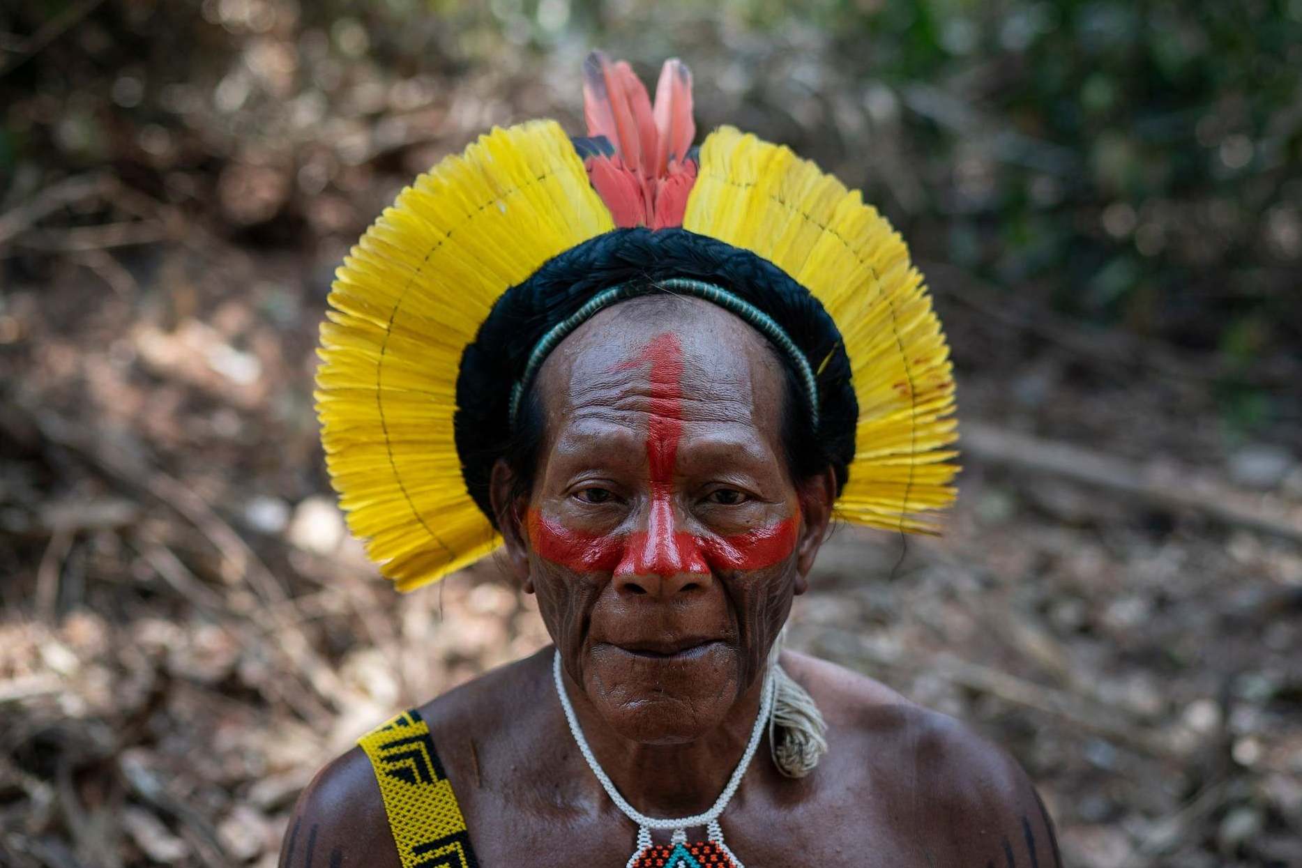 Krimej village indigenous Chief Kadjyre Kayapo, of the Kayapo indigenous community, poses for a photo on the path opened by illegal loggers