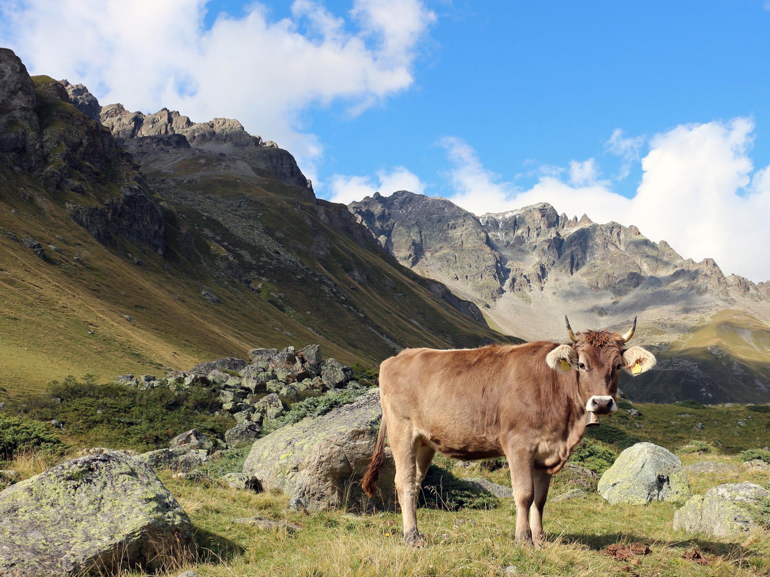 By 3,000 years ago, Earth had been ‘largely transformed by hunter-gatherers, farmers and pastoralists’