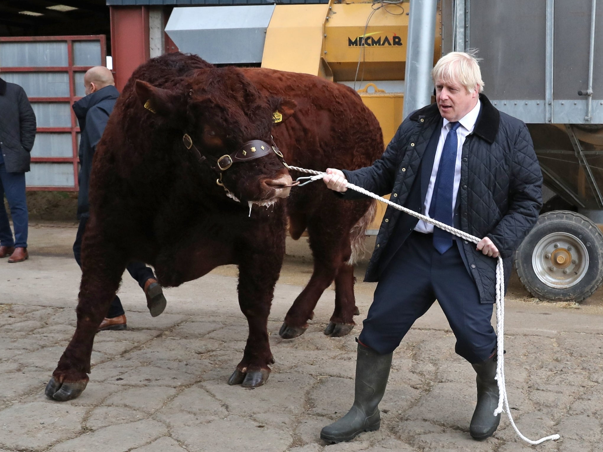 Boris Johnson tries to manage a bull at a farm near Aberdeen this month