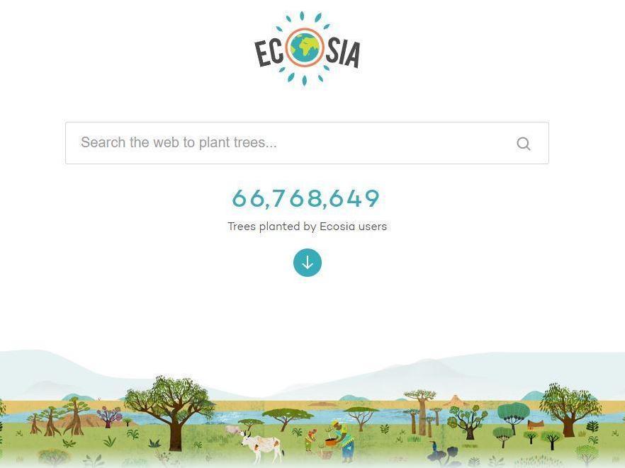 The Berlin-based search engine (pictured) donates 80 per cent of its advertising profits to tree-planting schemes which it runs in Brazil and elsewhere