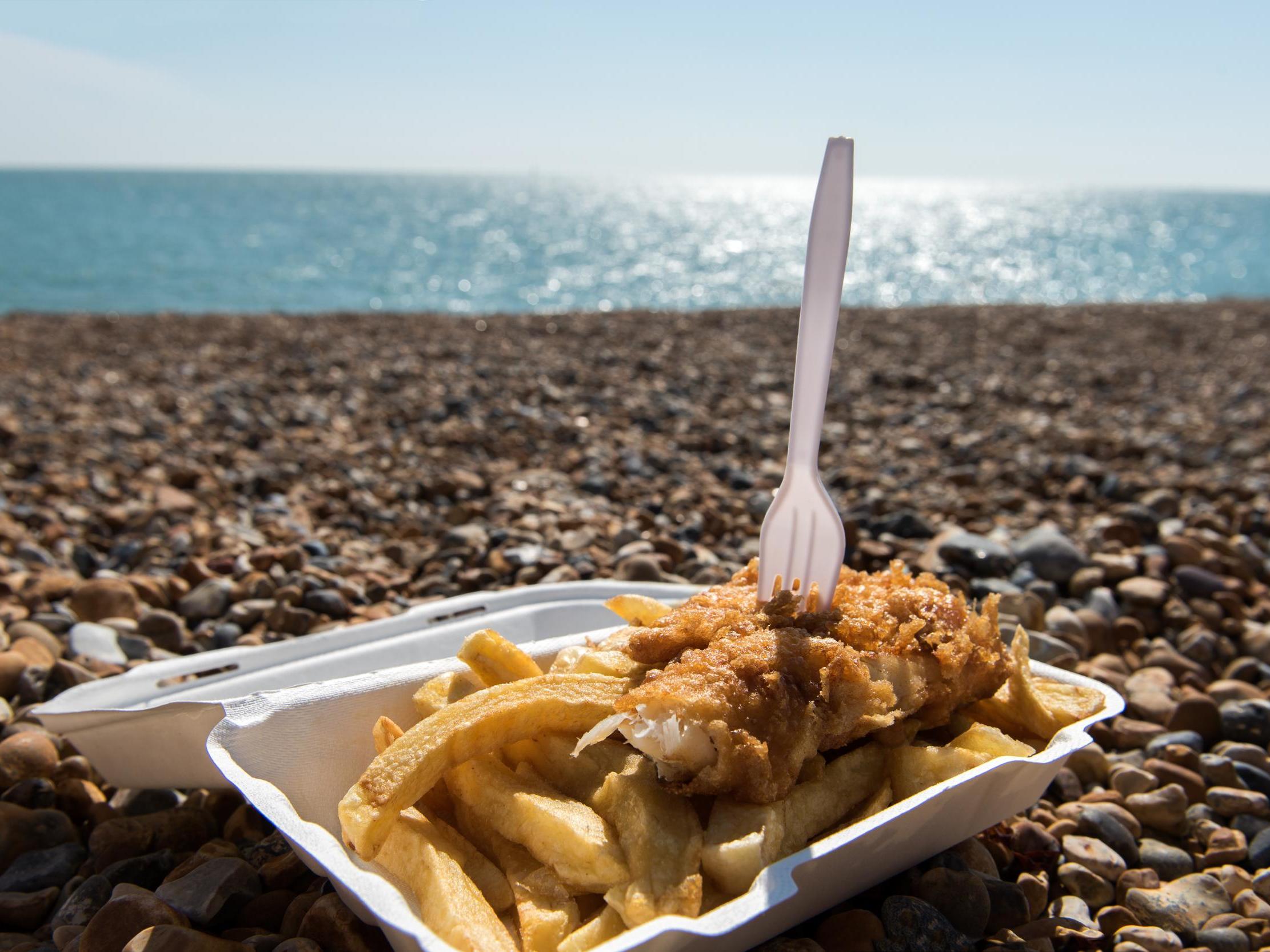 Samples from popular seaside destinations contained spiny dogfish