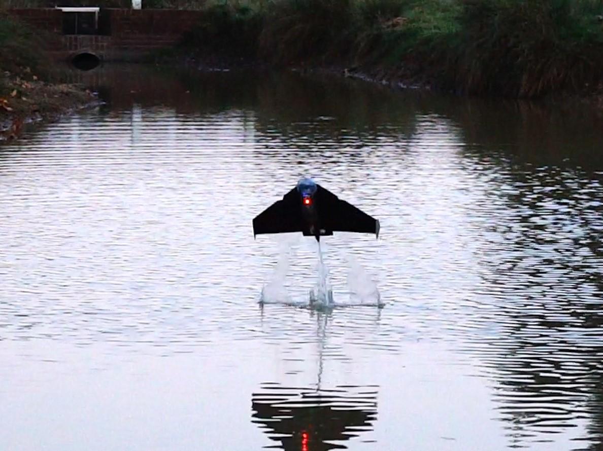 The bio-inspired robot can travel 26 metres through the air after take-off