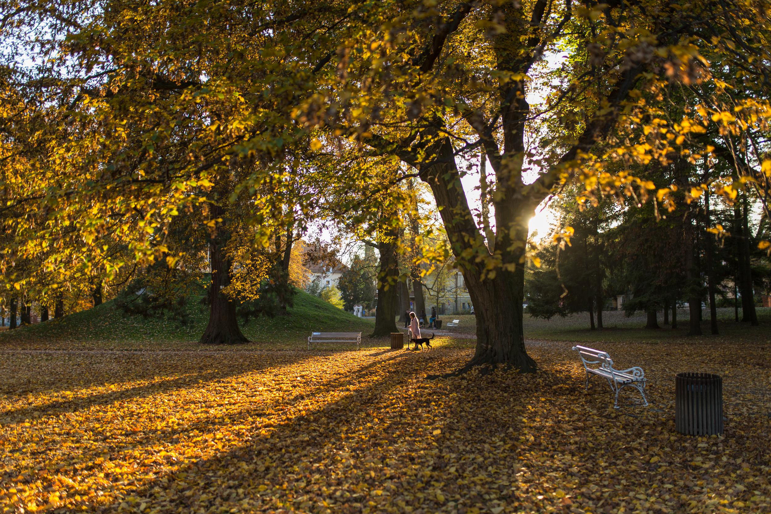 Have a stomp about Maribor City Park (Iztok Medja/slovenia.info)