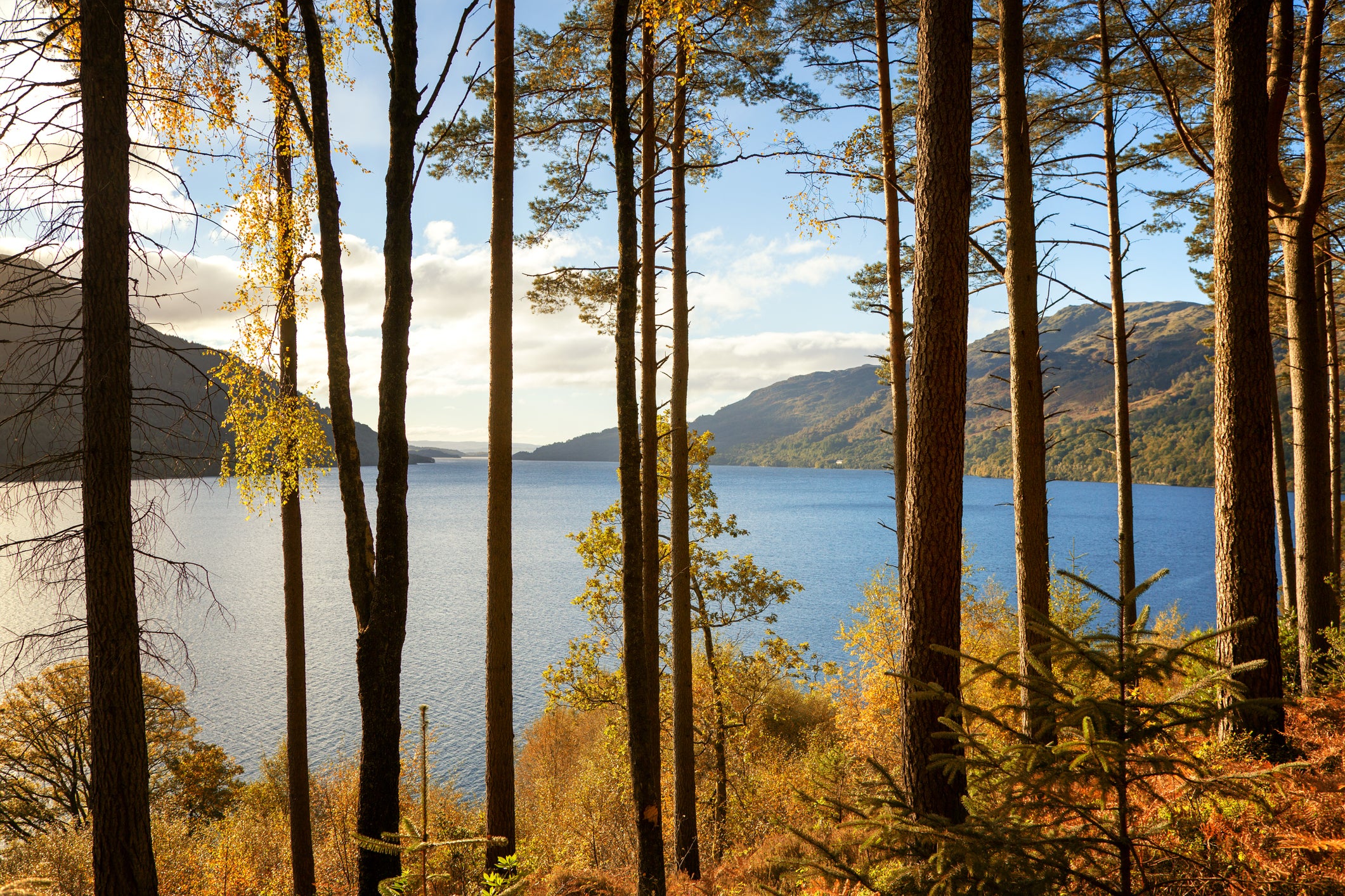 Glass-still Loch Lomond (Getty/iStockphoto)