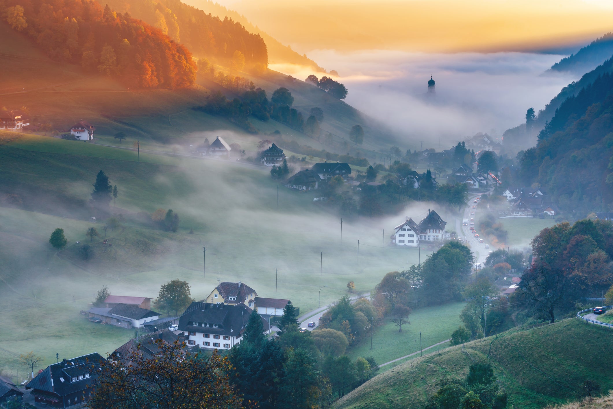 The ethereal Black Forest (Getty/iStockphoto)